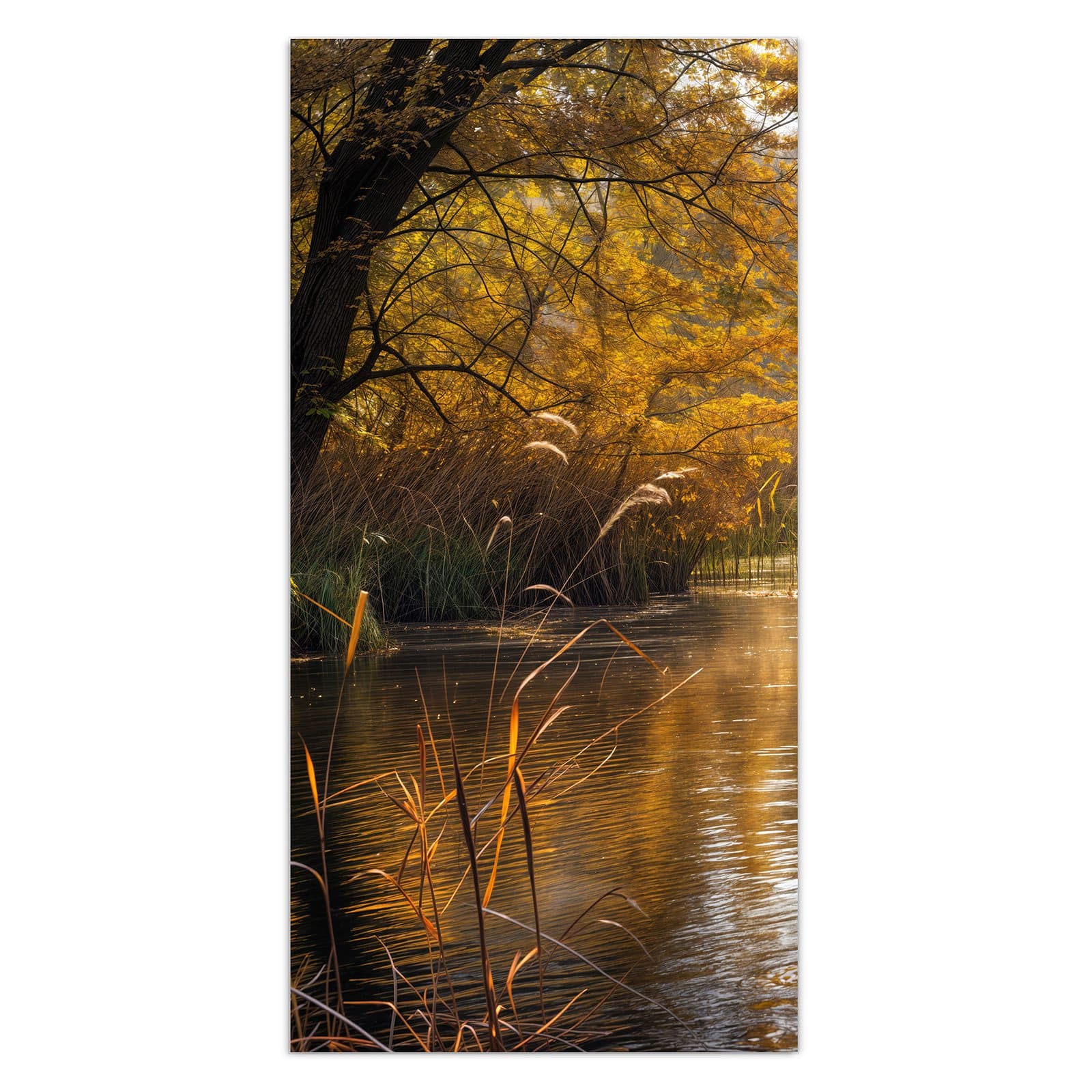 #grösse_30 x 60 cm #grösse_40 x 80 cm #grösse_50 x 100 cm #grösse_55 x 110 cm #grösse_60 x 120 cm