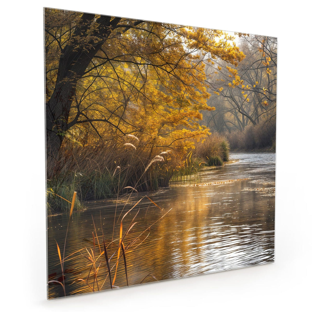 #grösse_40 x 40 cm #grösse_50 x 50 cm #grösse_60 x 60 cm