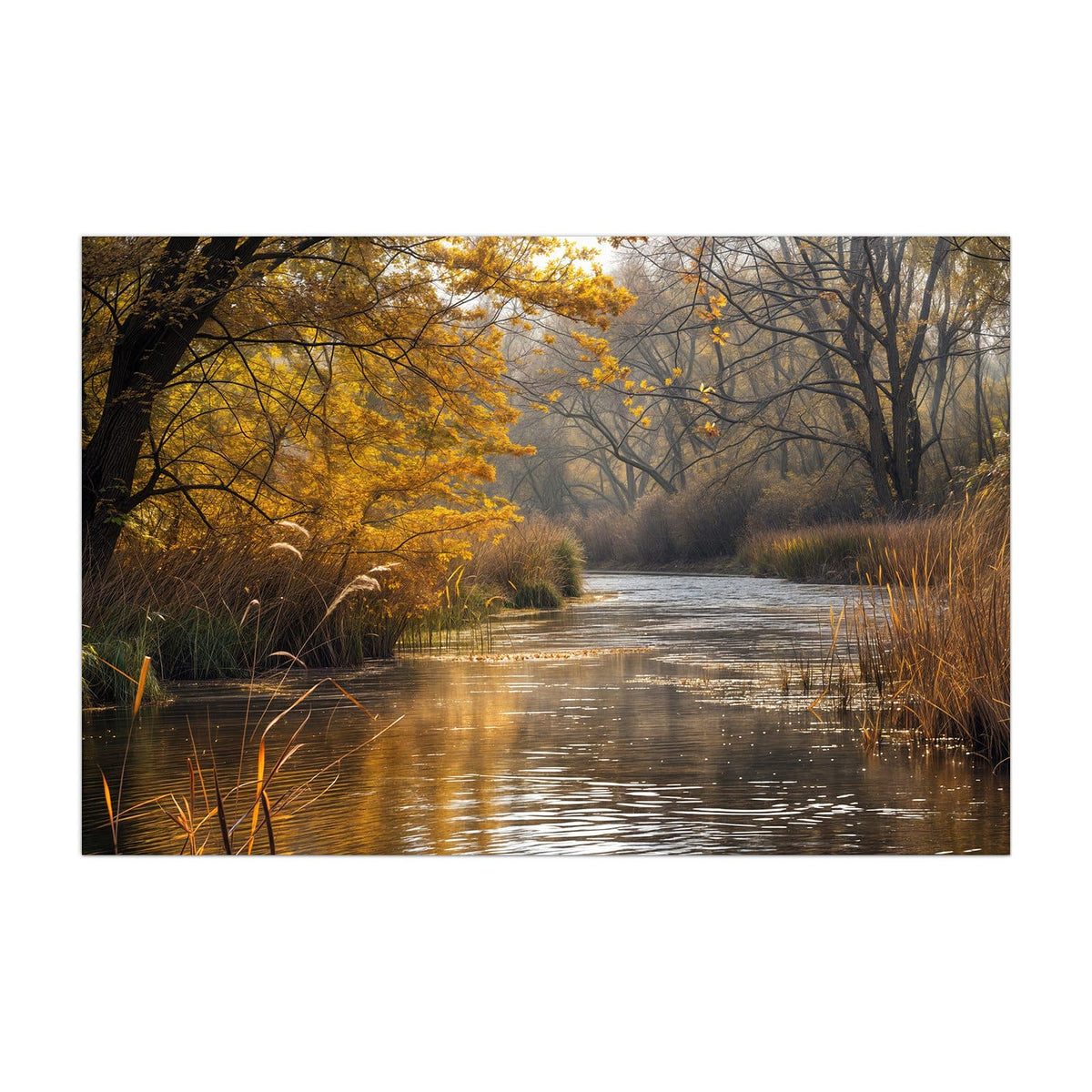 Küchenrückwand aus Glas Schilf am Herbstfluss im Hochformat, Motiv bildfüllend von vorn
