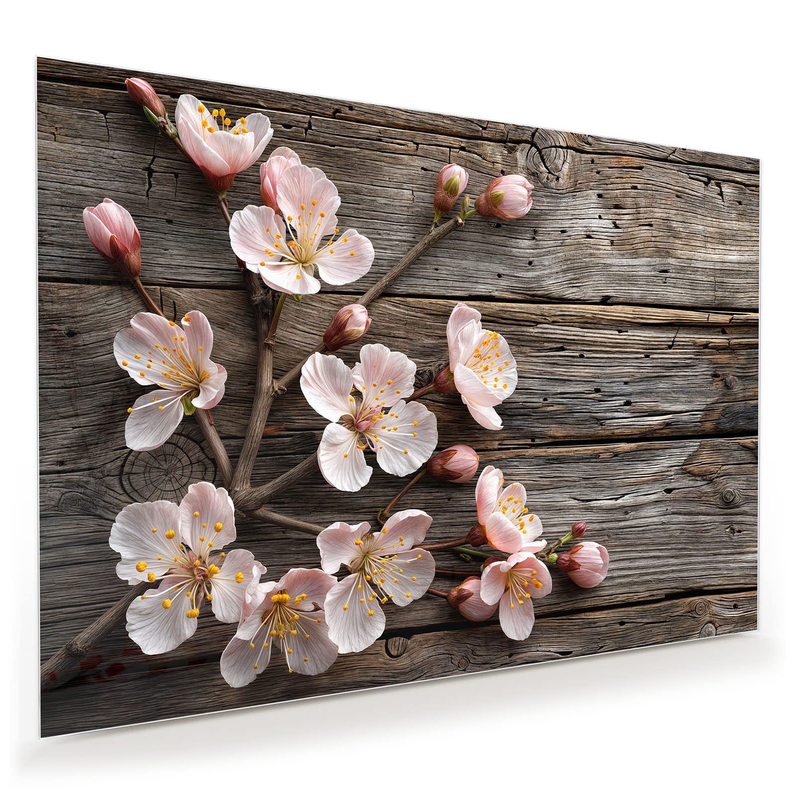 #grösse_100 x 70 cm