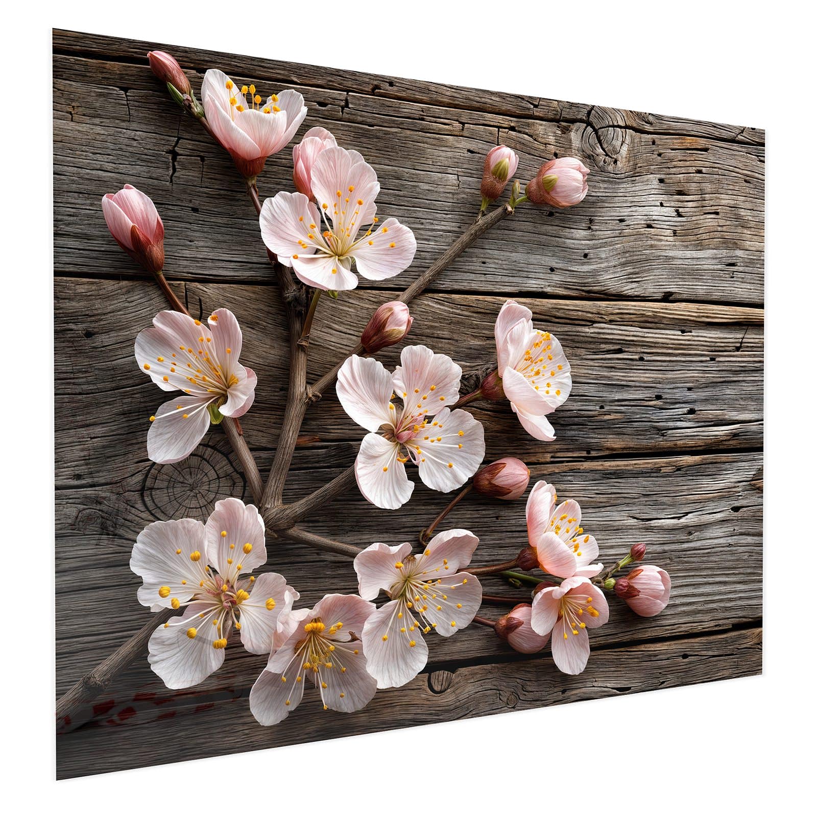 #grösse_75 x 60 cm #grösse_100 x 80 cm