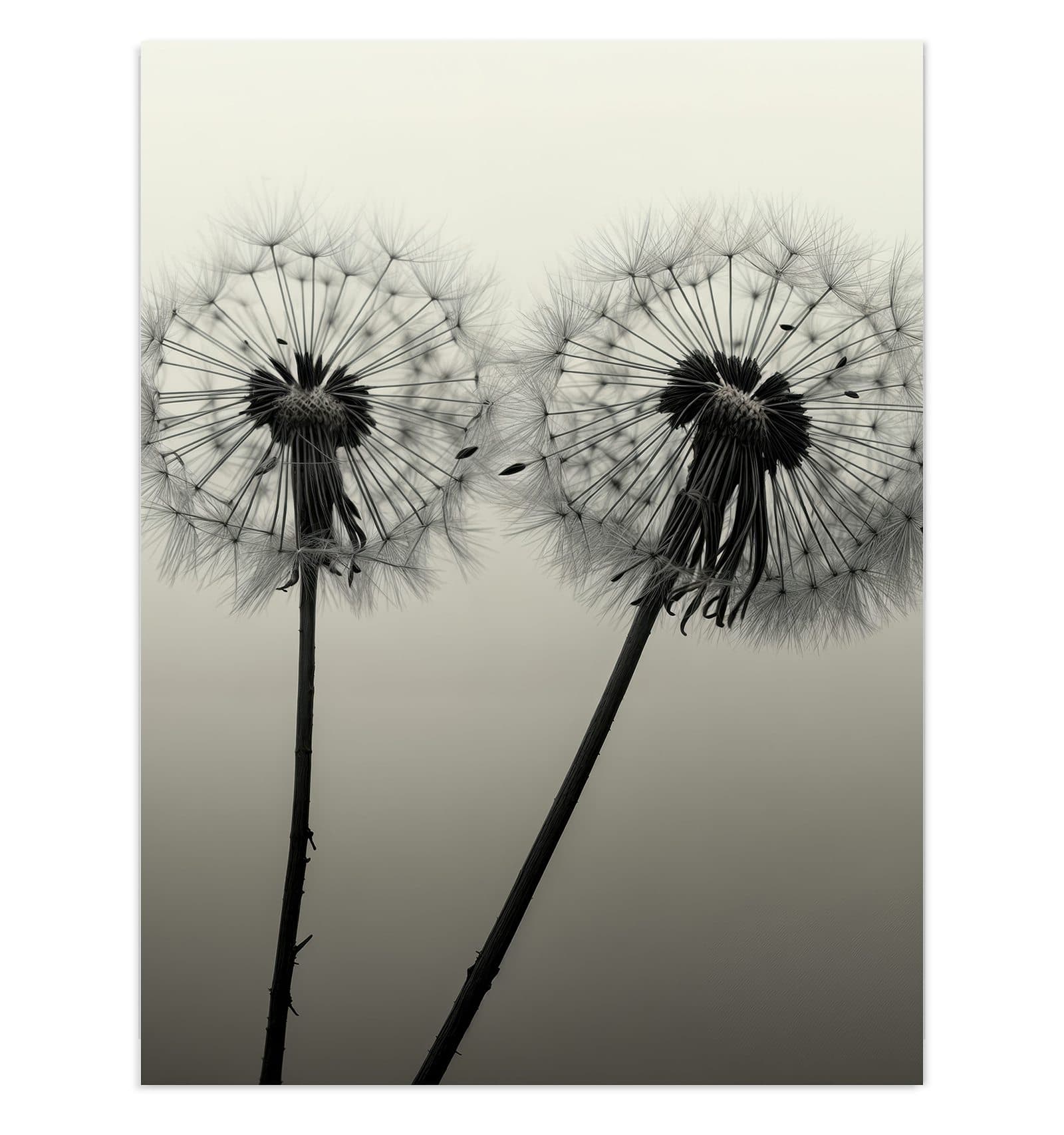 #grösse_30 x 40 cm #grösse_60 x 80 cm #grösse_75 x 100 cm