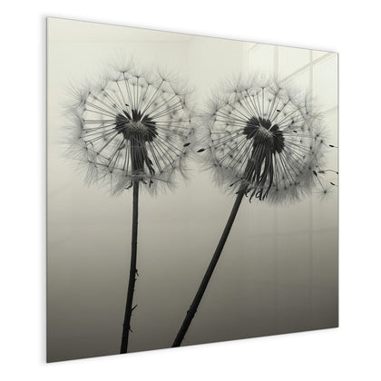 Magnettafel mit dem Motiv Pusteblume in Sepia