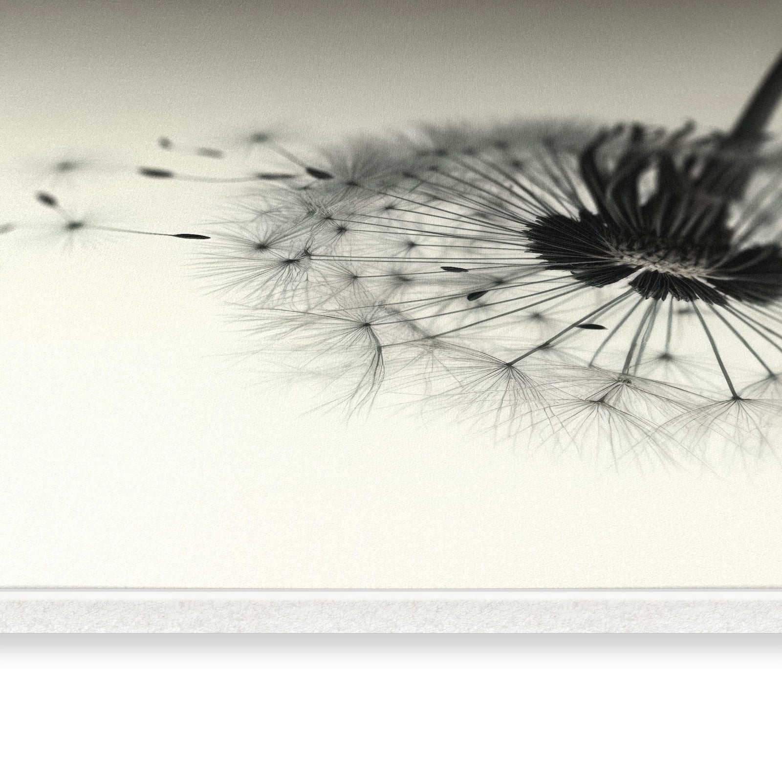 Flacher Küchenteppich mit Motiv Pusteblume Schwarz in seitlicher Ansicht - abwaschbar