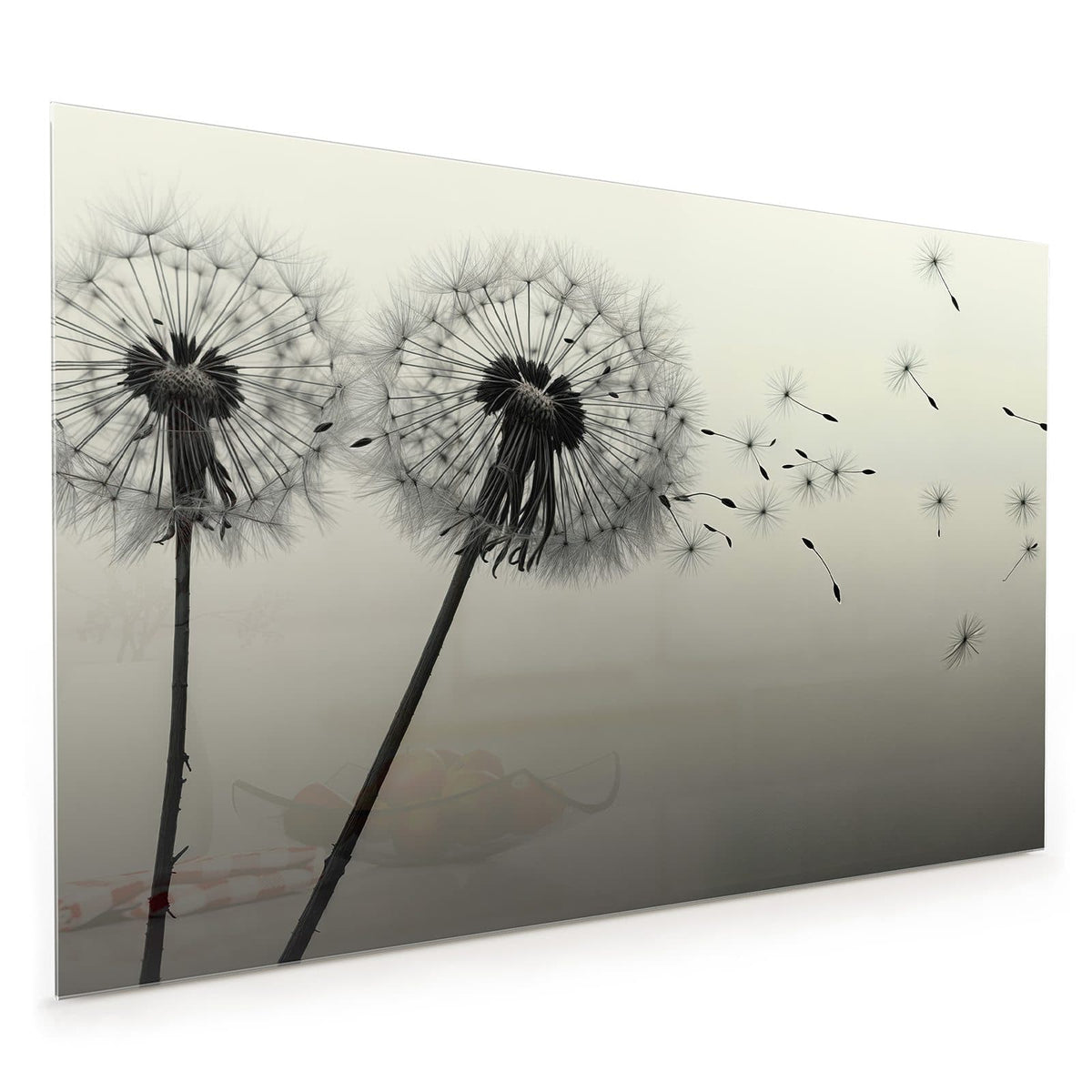 Küchenrückwand aus Glas im Hochformat: Zwei Pusteblumenköpfe im Gegenlicht, Schwarz-Weiß mit Sepiaton