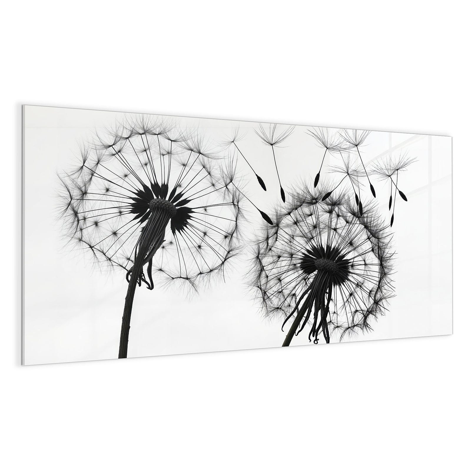 #grösse_100 x 50 cm