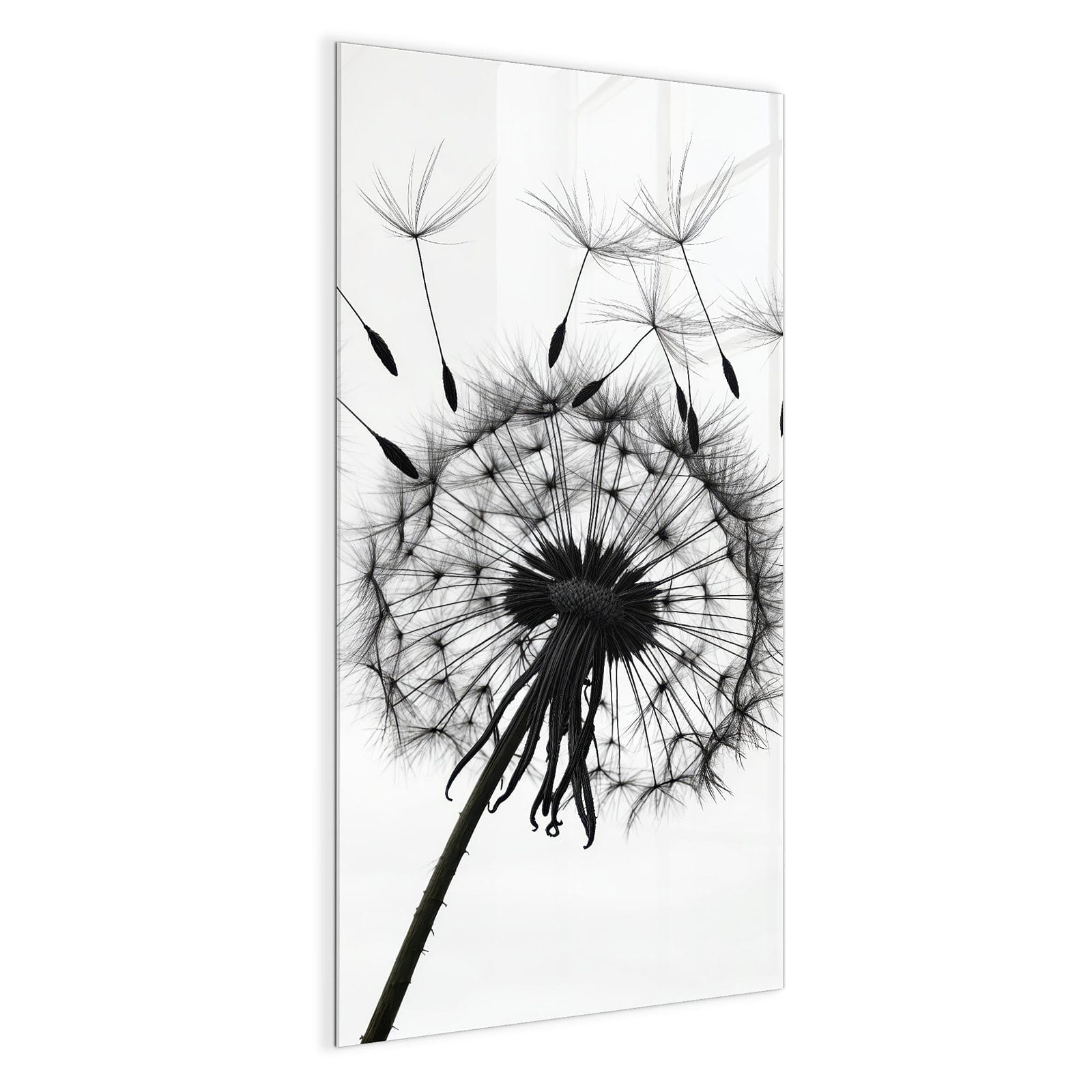 #grösse_50 x 100 cm