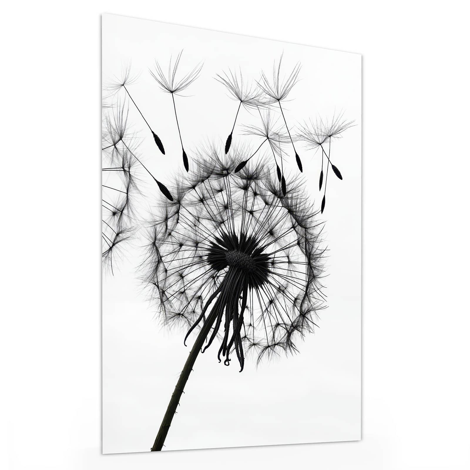 #grösse_30 x 40 cm #grösse_60 x 80 cm #grösse_75 x 100 cm