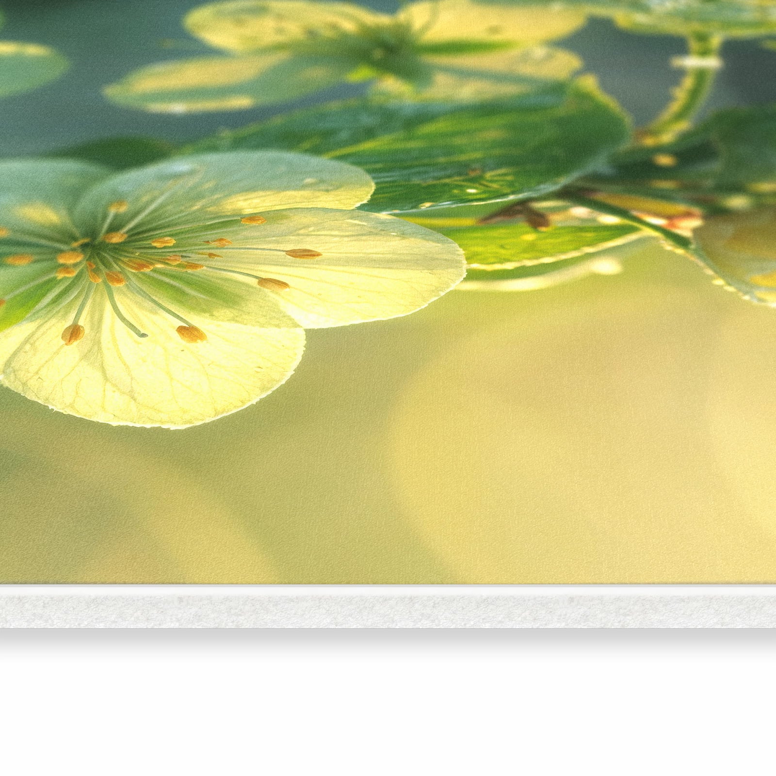 #grösse_80 x 200 cm #grösse_60 x 150 cm