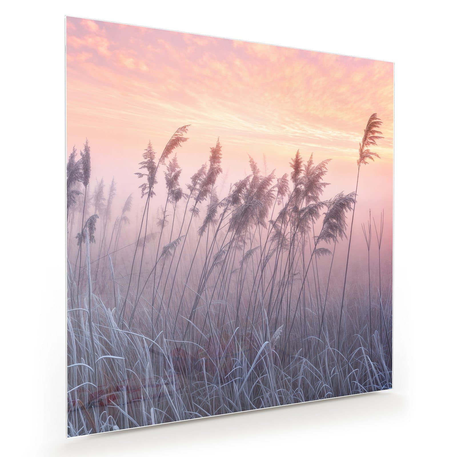 #grösse_30 x 30 cm #grösse_40 x 40 cm #grösse_50 x 50 cm #grösse_60 x 60 cm #grösse_70 x 70 cm #grösse_80 x 80 cm #grösse_90 x 90 cm #grösse_100 x 100 cm