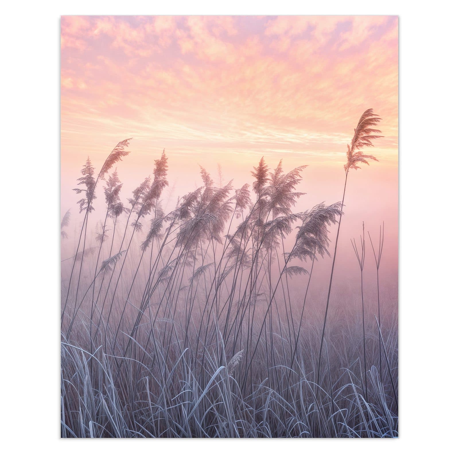 #grösse_60 x 75 cm #grösse_80 x 100 cm