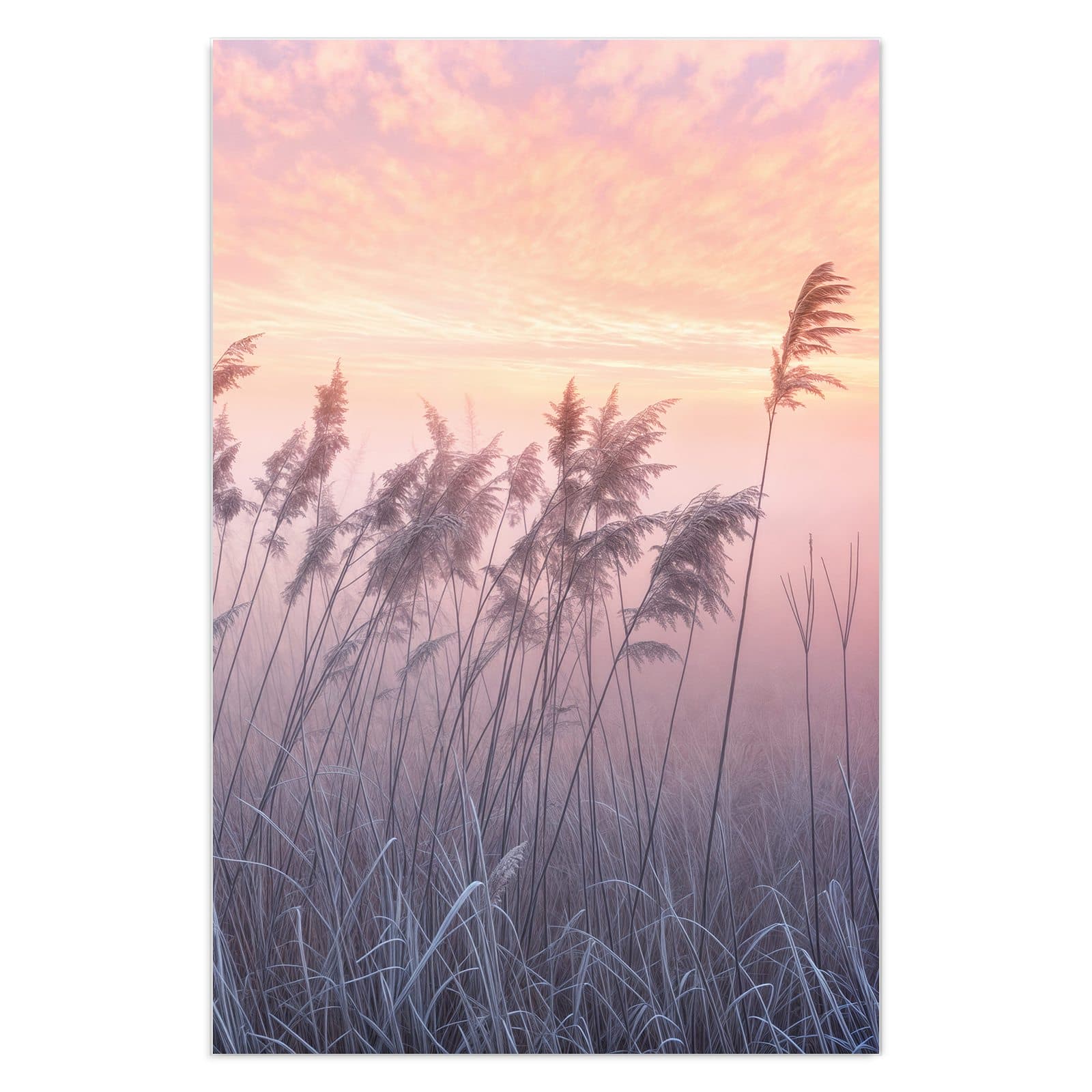 #grösse_40 x 60 cm #grösse_50 x 75 cm #grösse_60 x 90 cm