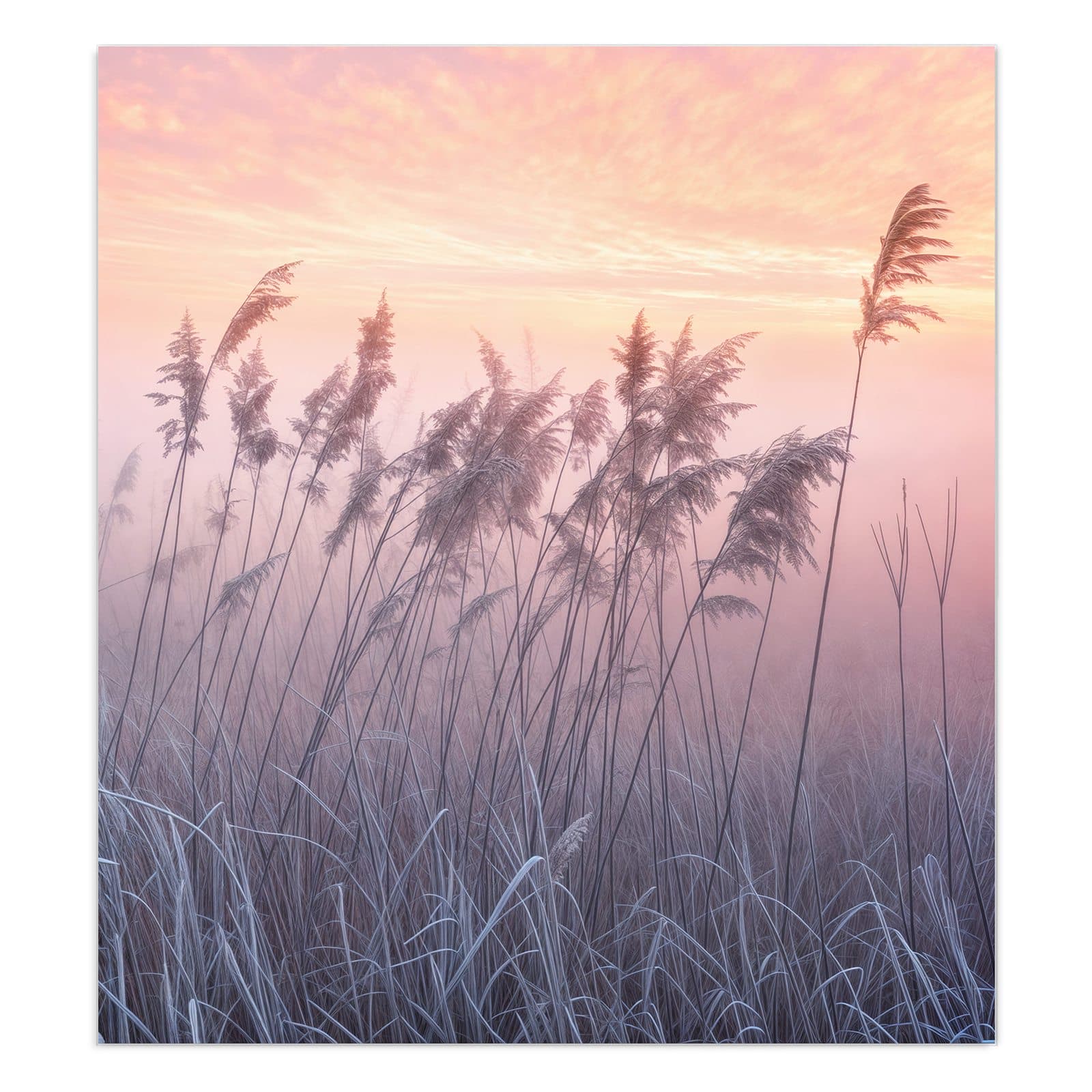 #grösse_90 x 100 cm