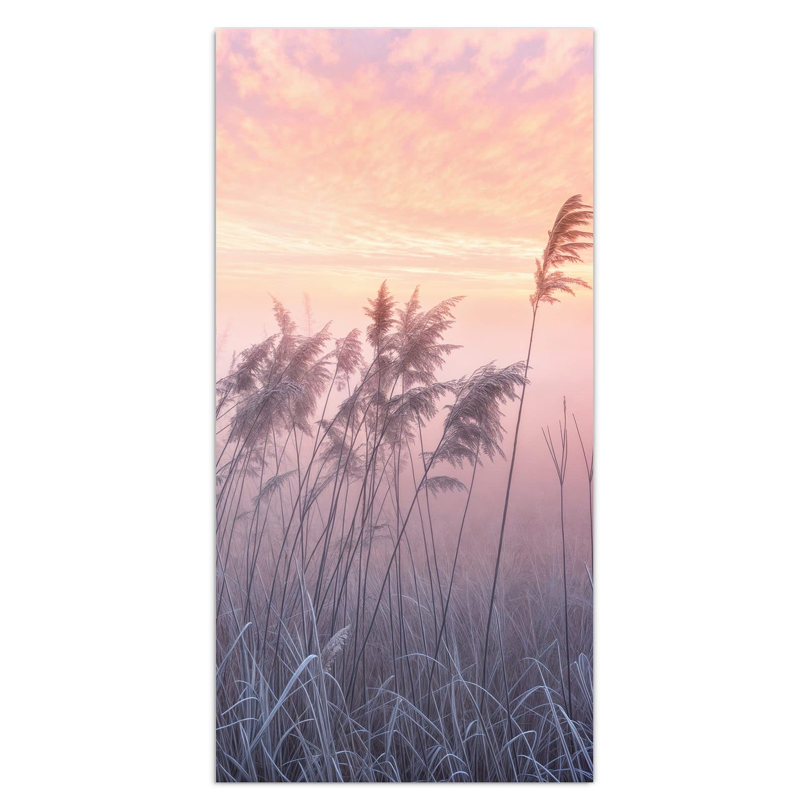 #grösse_30 x 60 cm #grösse_40 x 80 cm #grösse_50 x 100 cm #grösse_55 x 110 cm #grösse_60 x 120 cm