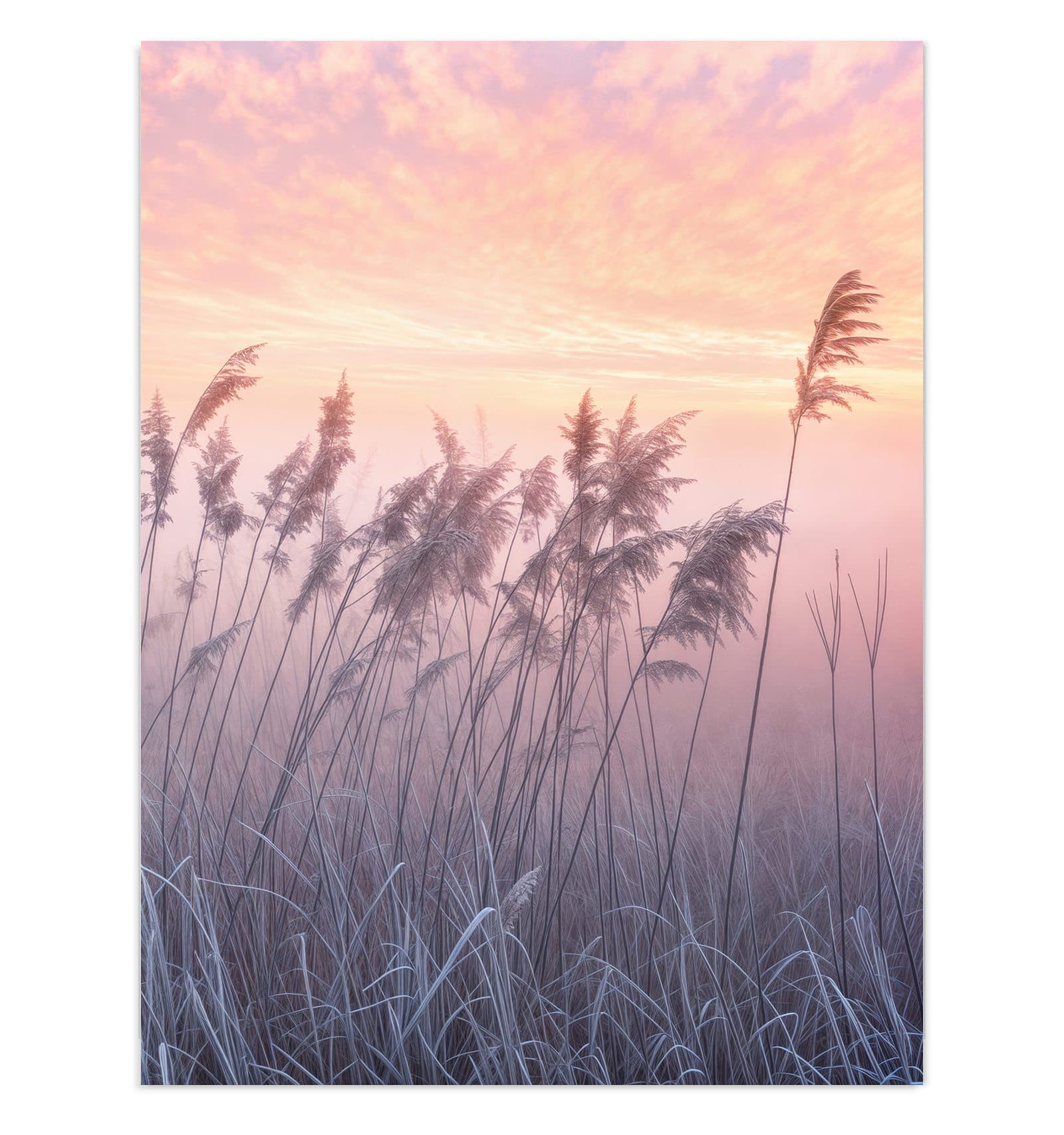 #grösse_30 x 40 cm #grösse_60 x 80 cm #grösse_75 x 100 cm