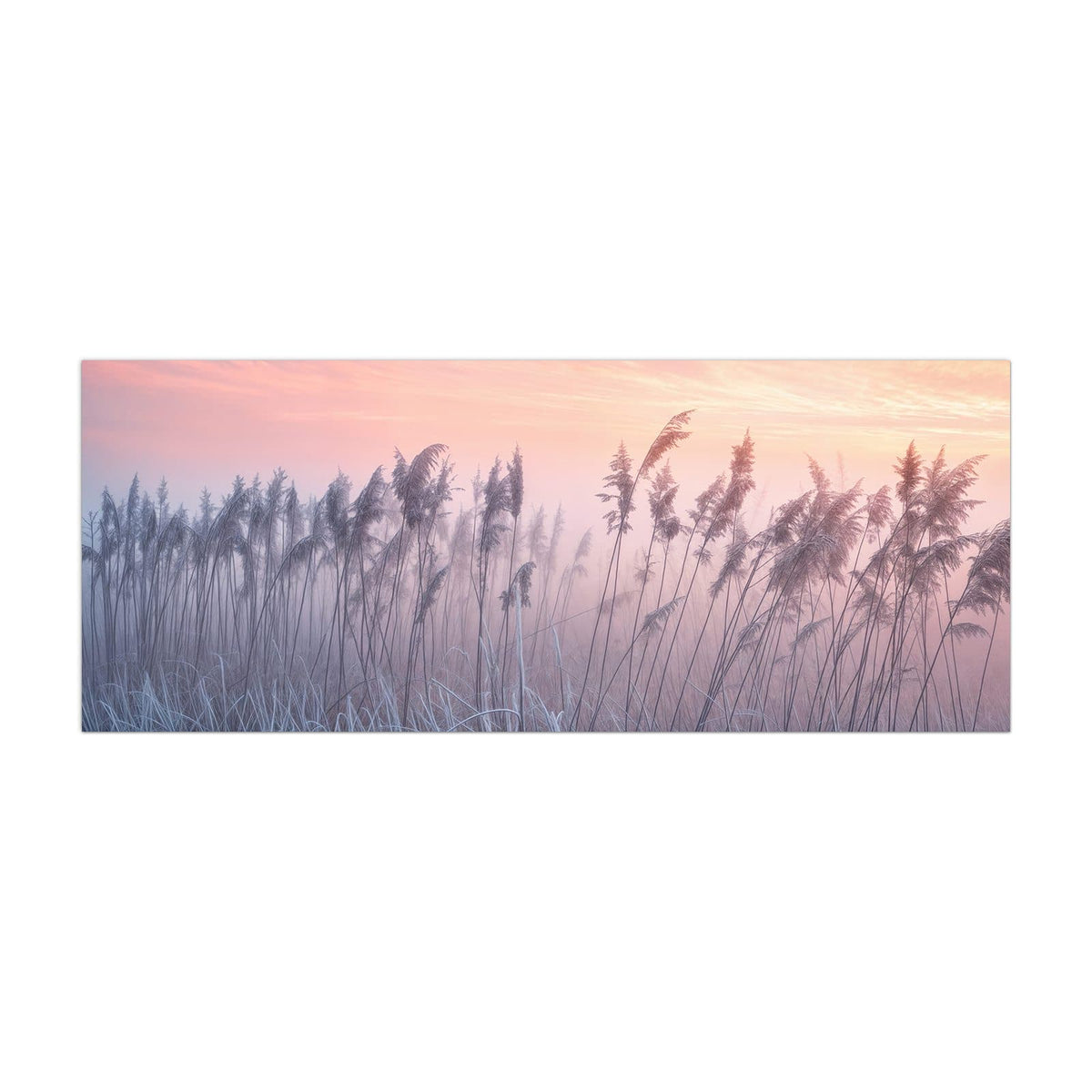 Küchenrückwand aus Glas Schilf im Morgenrot im Hochformat, Motiv bildfüllend von vorn