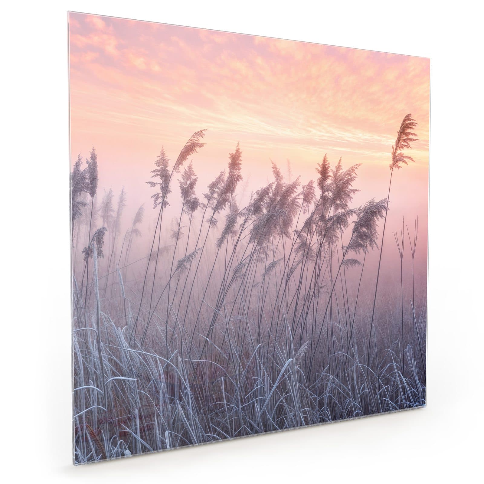 #70 x 70 cm_