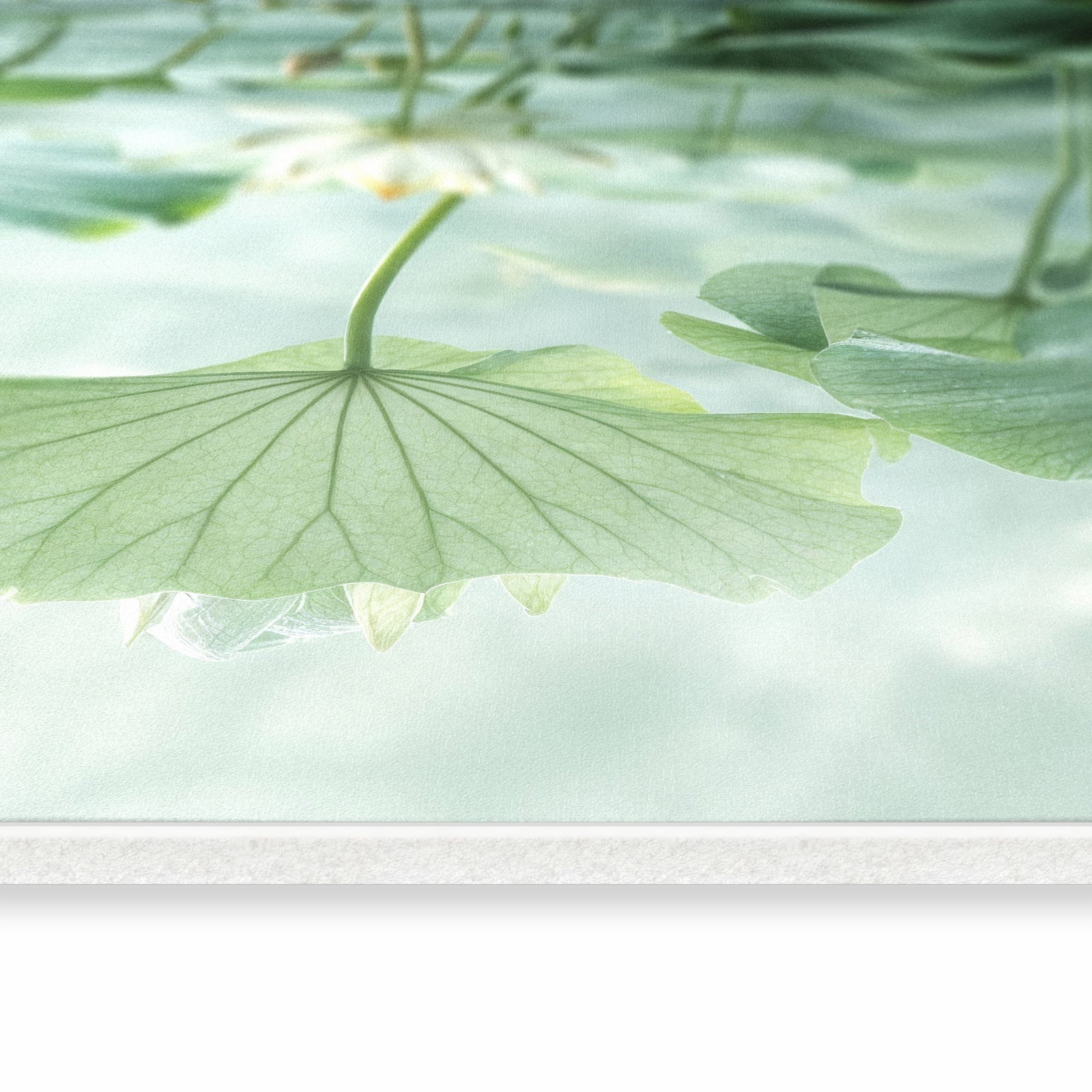 #grösse_60 x 300 cm