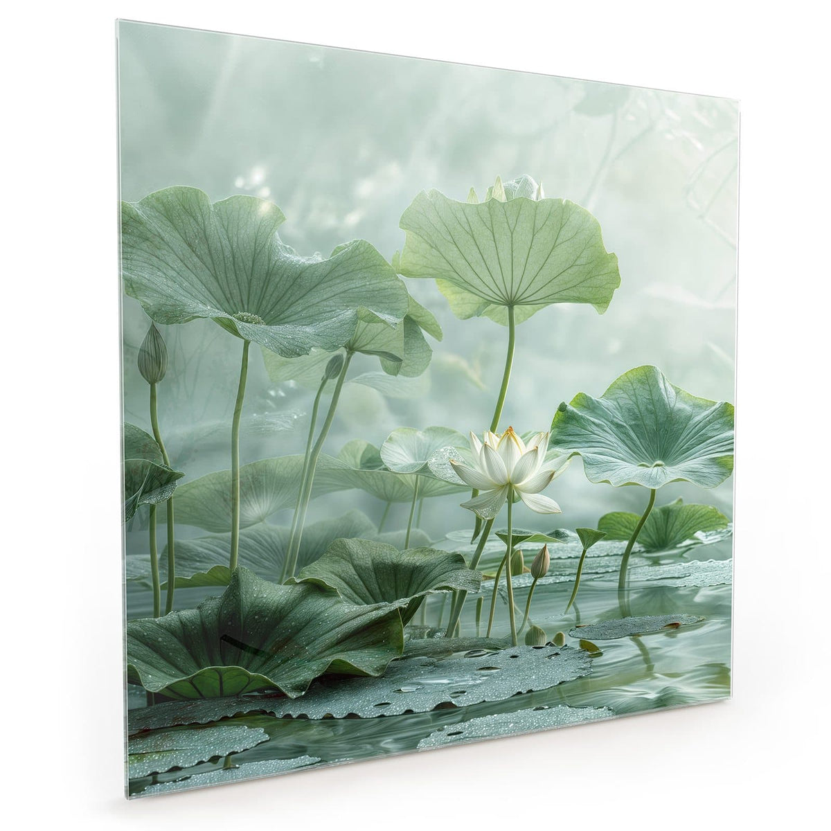 #grösse_40 x 40 cm #grösse_50 x 50 cm #grösse_60 x 60 cm