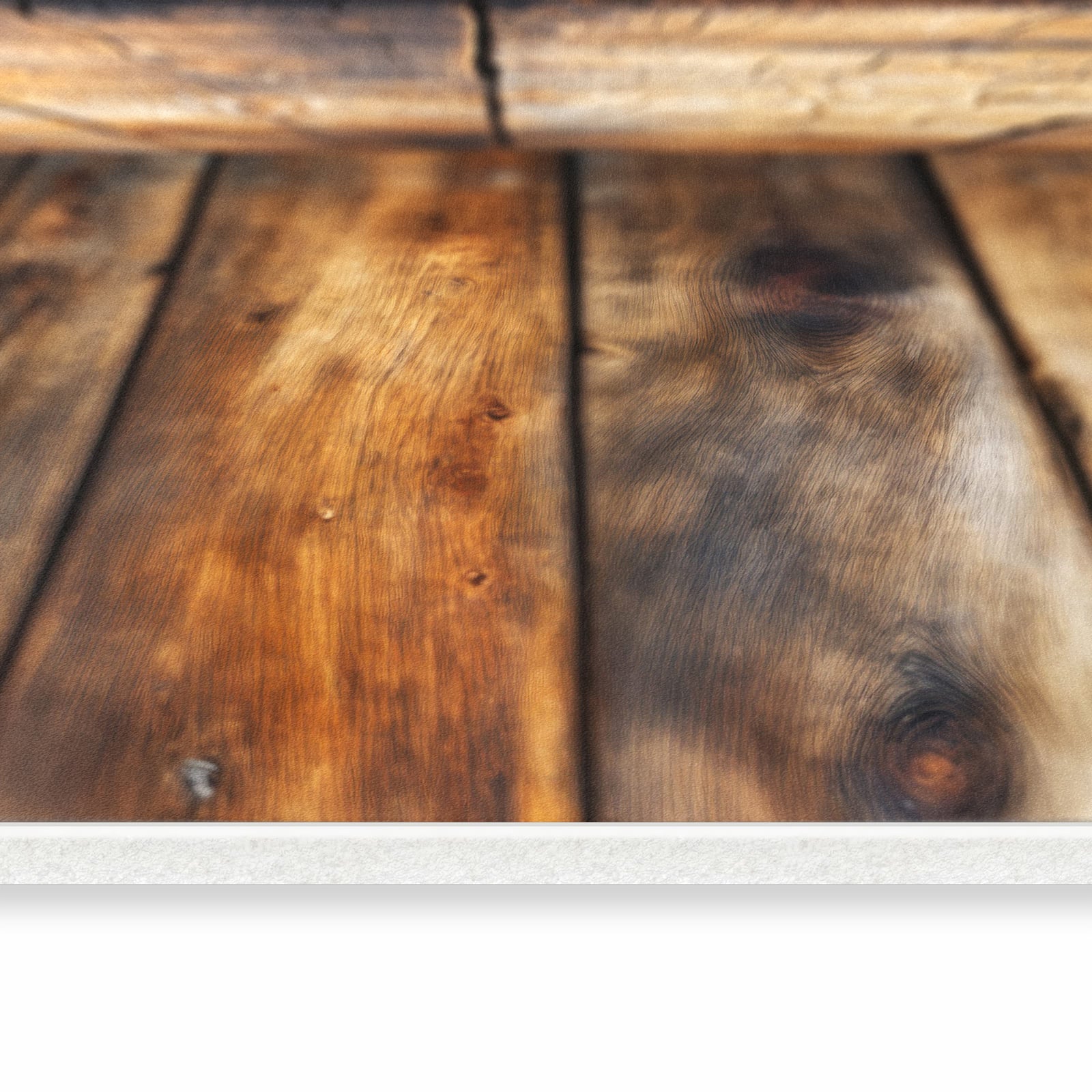 Küchenläufer - Schädelaufnahme