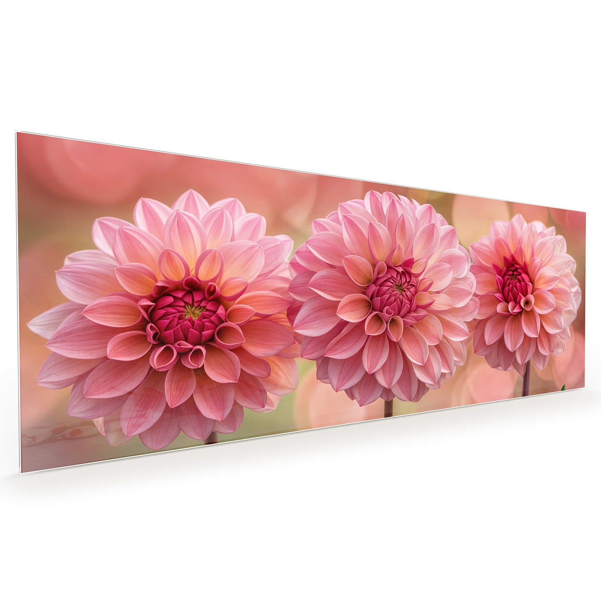 #grösse_40 x 100 cm #grösse_50 x 125 cm #grösse_60 x 150 cm