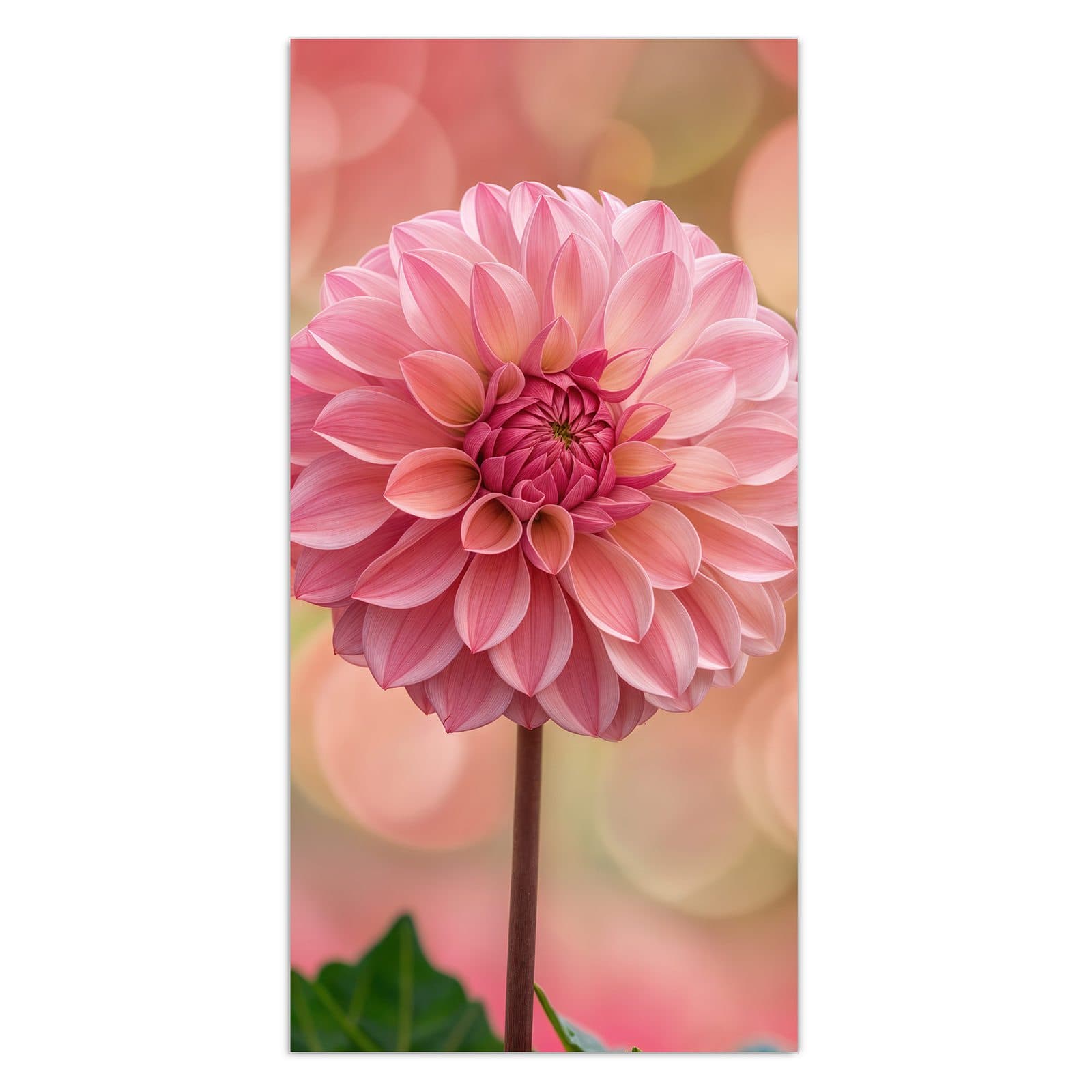 #grösse_30 x 60 cm #grösse_40 x 80 cm #grösse_50 x 100 cm #grösse_55 x 110 cm #grösse_60 x 120 cm