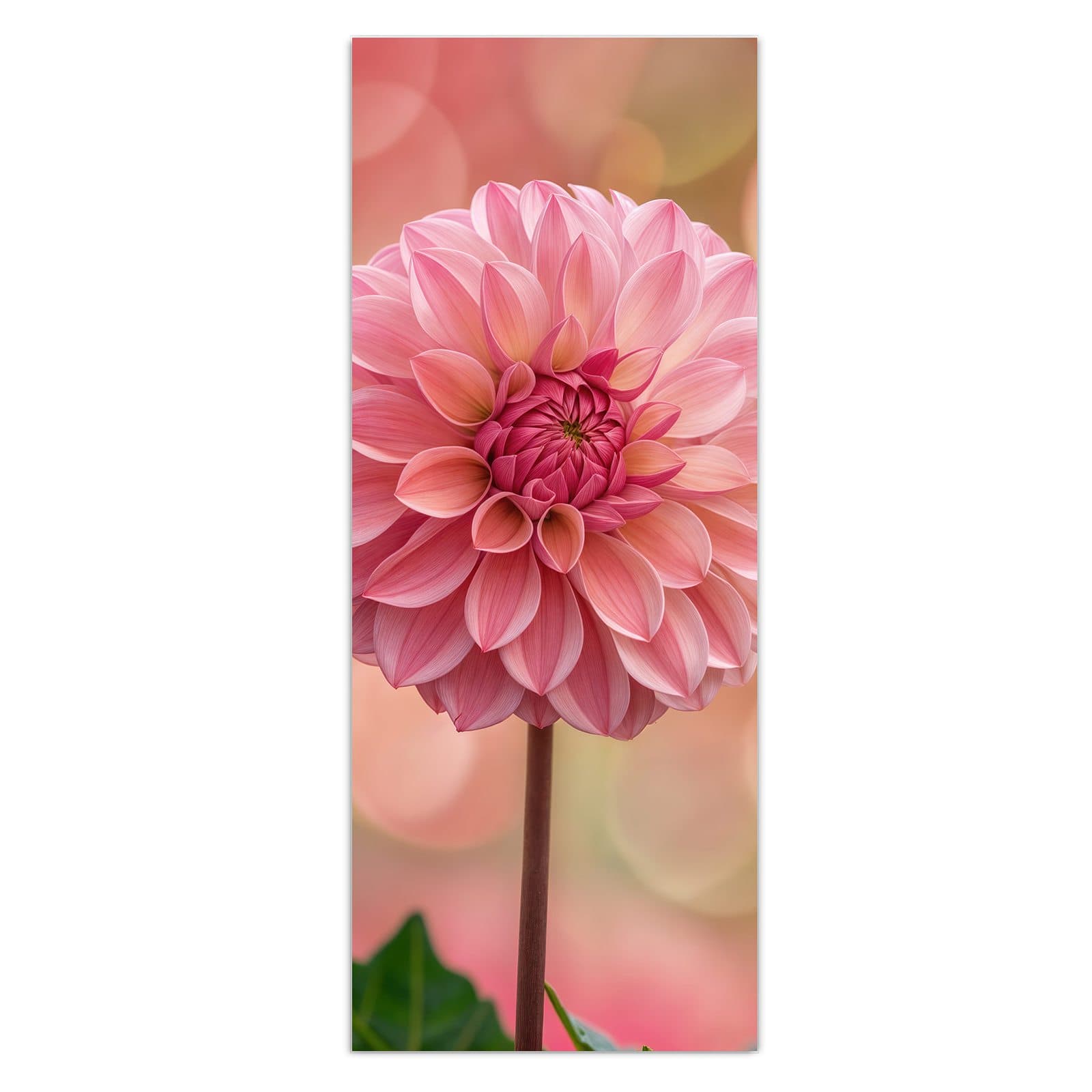 #grösse_50 x 125 cm #grösse_40 x 100 cm #grösse_60 x 150 cm