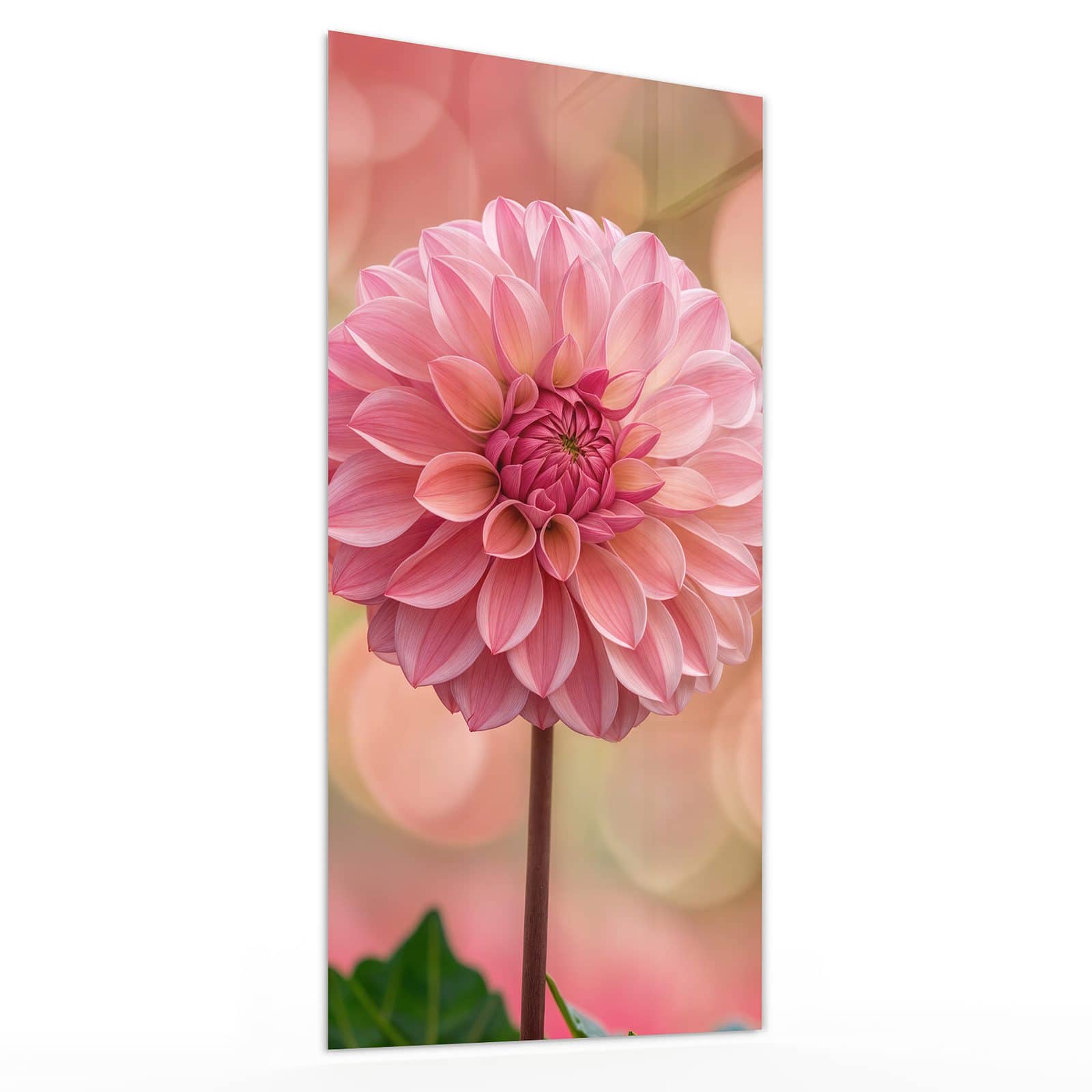 #grösse_30 x 60 cm #grösse_40 x 80 cm #grösse_50 x 100 cm #grösse_55 x 110 cm #grösse_60 x 120 cm