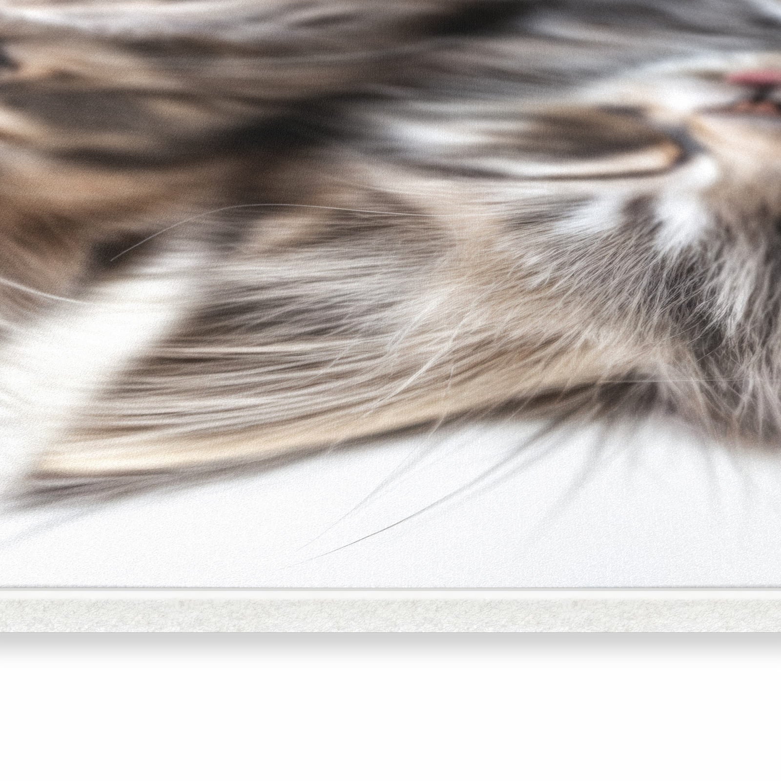 Bodenschonender waschbarer Küchenteppich mit Motiv Schlafende Kätzchen in seitlicher Ansicht