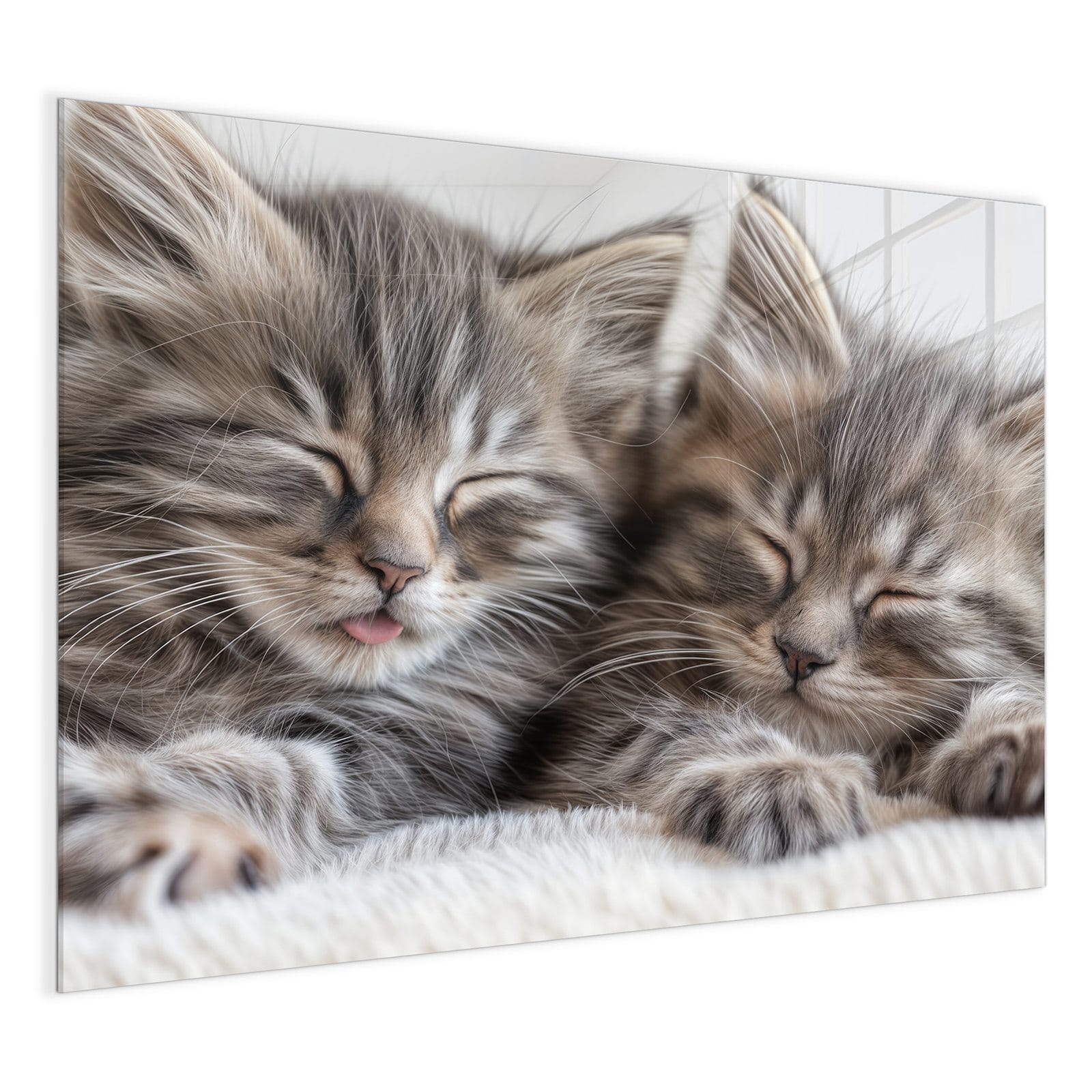 #grösse_120 x 90 cm