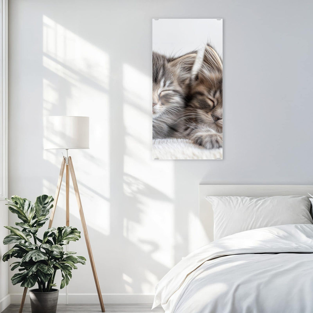 Glasbild Zwei schlafende Kätzchen an der Wand – Zwei getigerte Kätzchen schlafen dicht aneinander auf weißem Fell