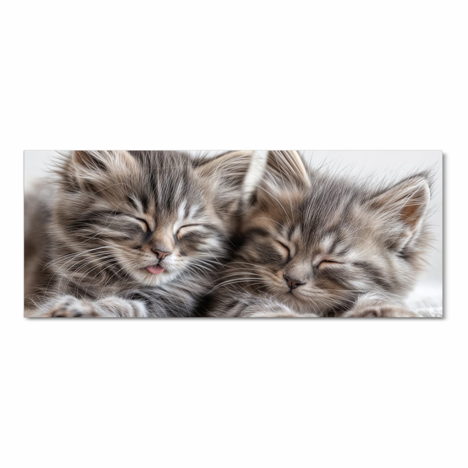 Rutschfester Läufer mit Motiv Schlafende Kätzchen in Frontansicht für sicheren Stand