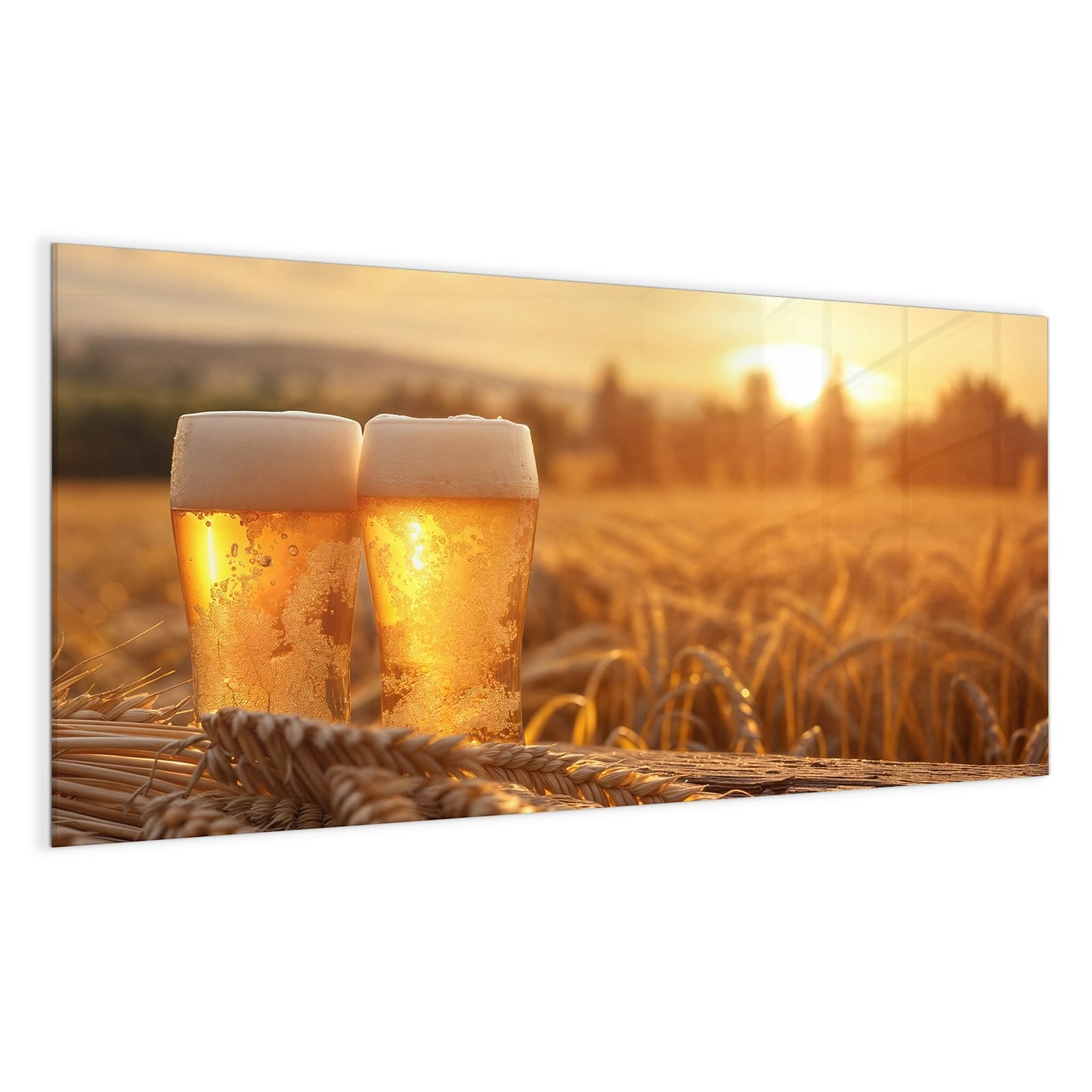 #grösse_100 x 50 cm