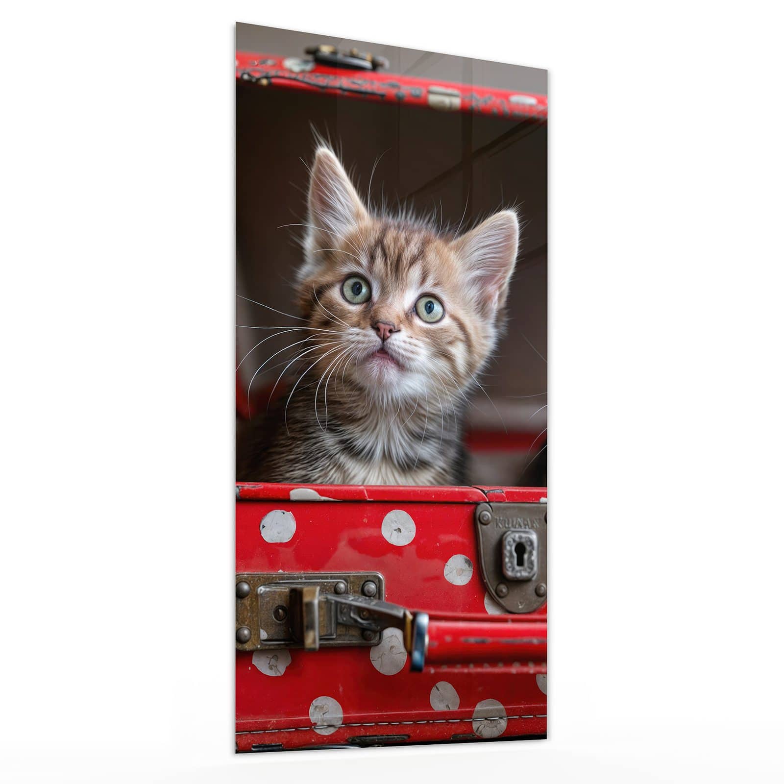 #grösse_30 x 60 cm #grösse_40 x 80 cm #grösse_50 x 100 cm #grösse_55 x 110 cm #grösse_60 x 120 cm