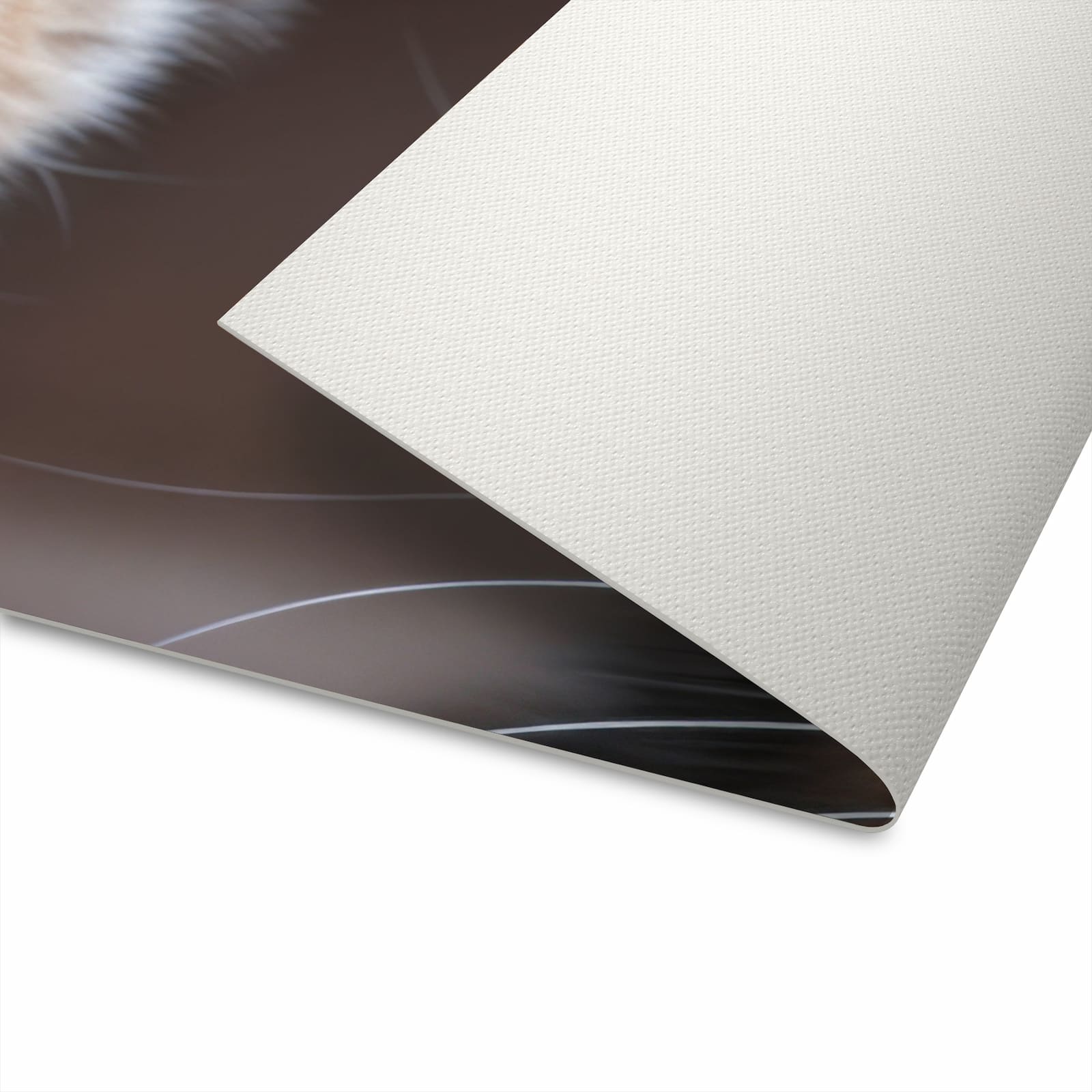 Farbbeständiger Läufer für Eingangsbereich mit Motiv Katzen im Koffer auf Unterseite