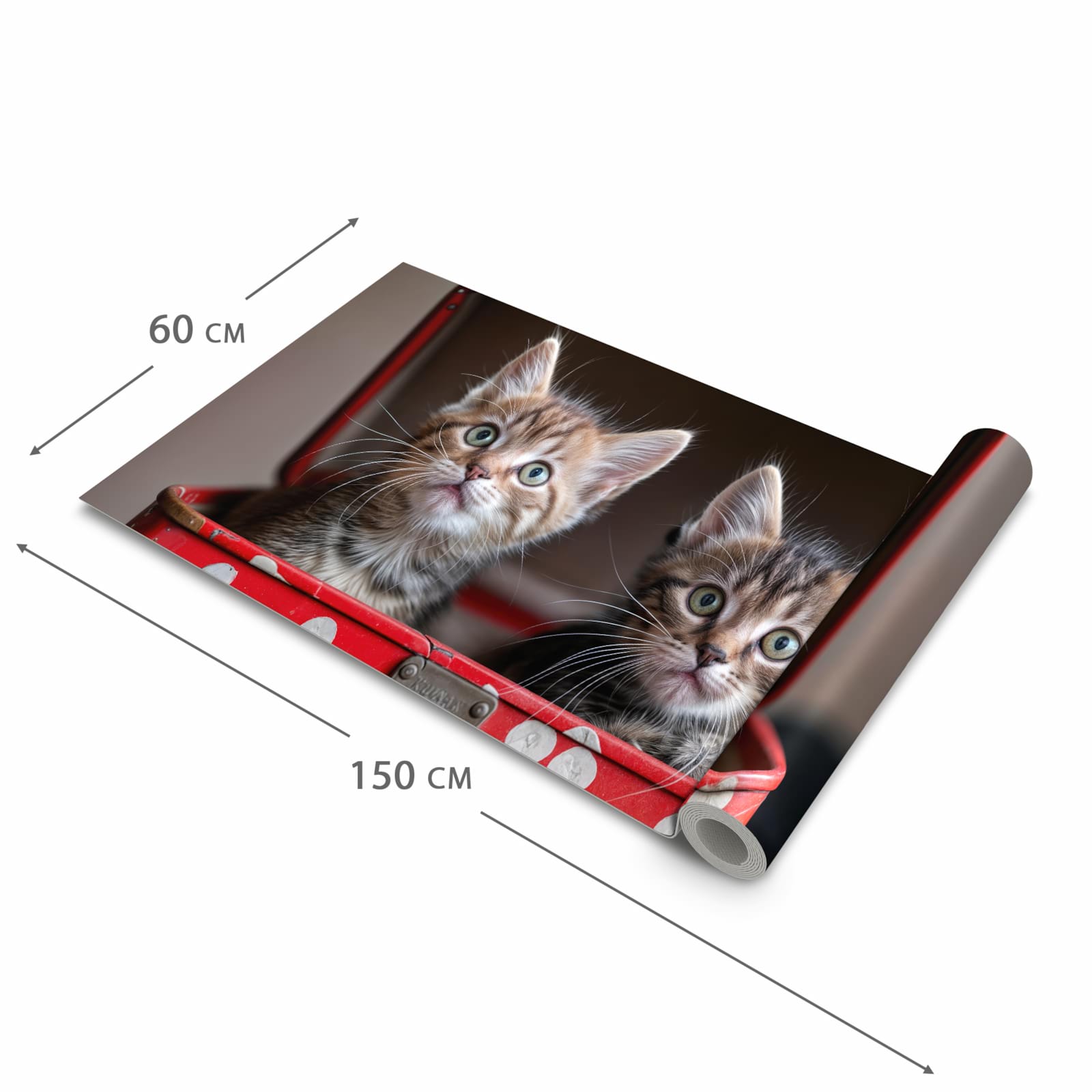 Waschbarer Küchenteppich mit Motiv Katzen im Koffer in der Größe 80x200 cm