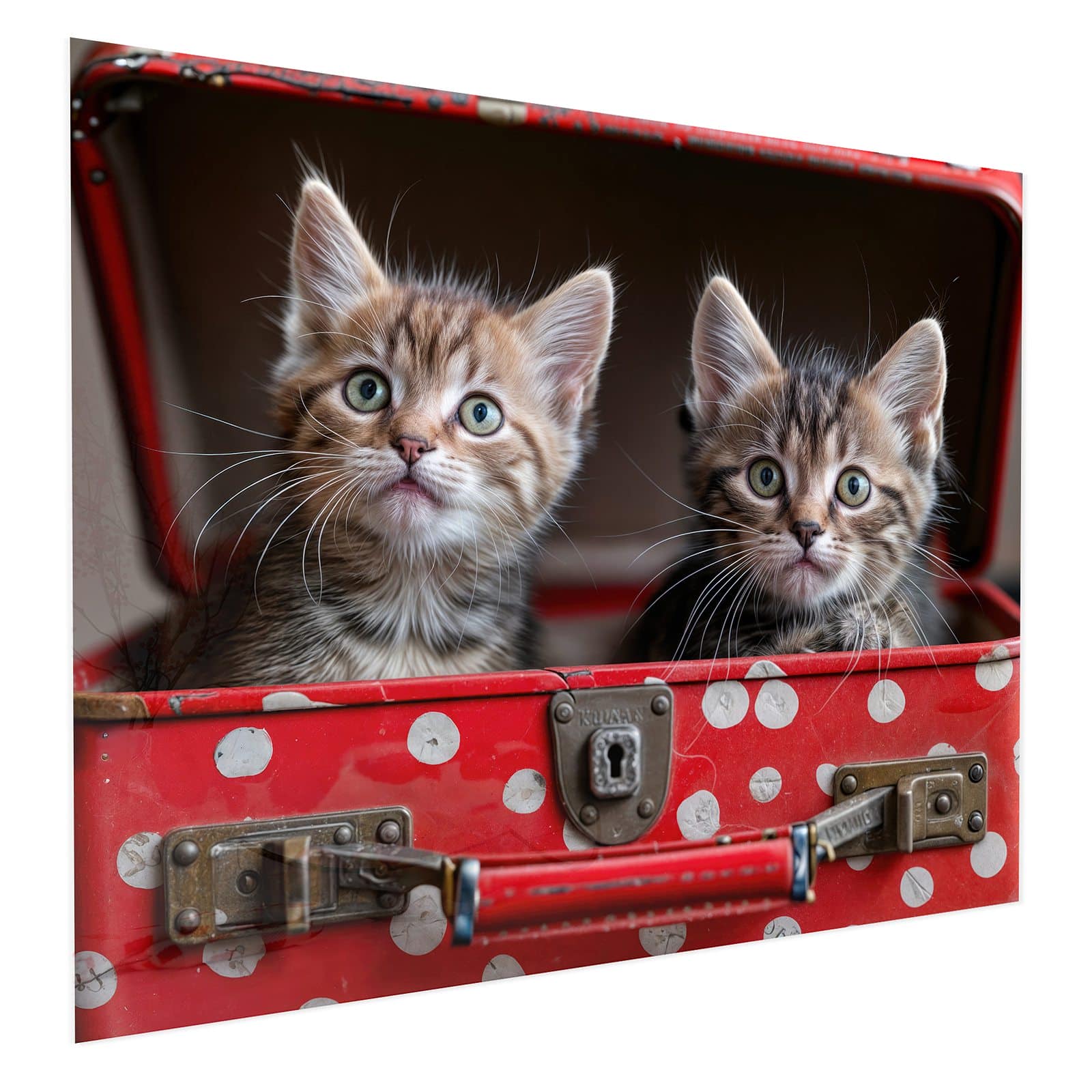 #grösse_75 x 60 cm #grösse_100 x 80 cm