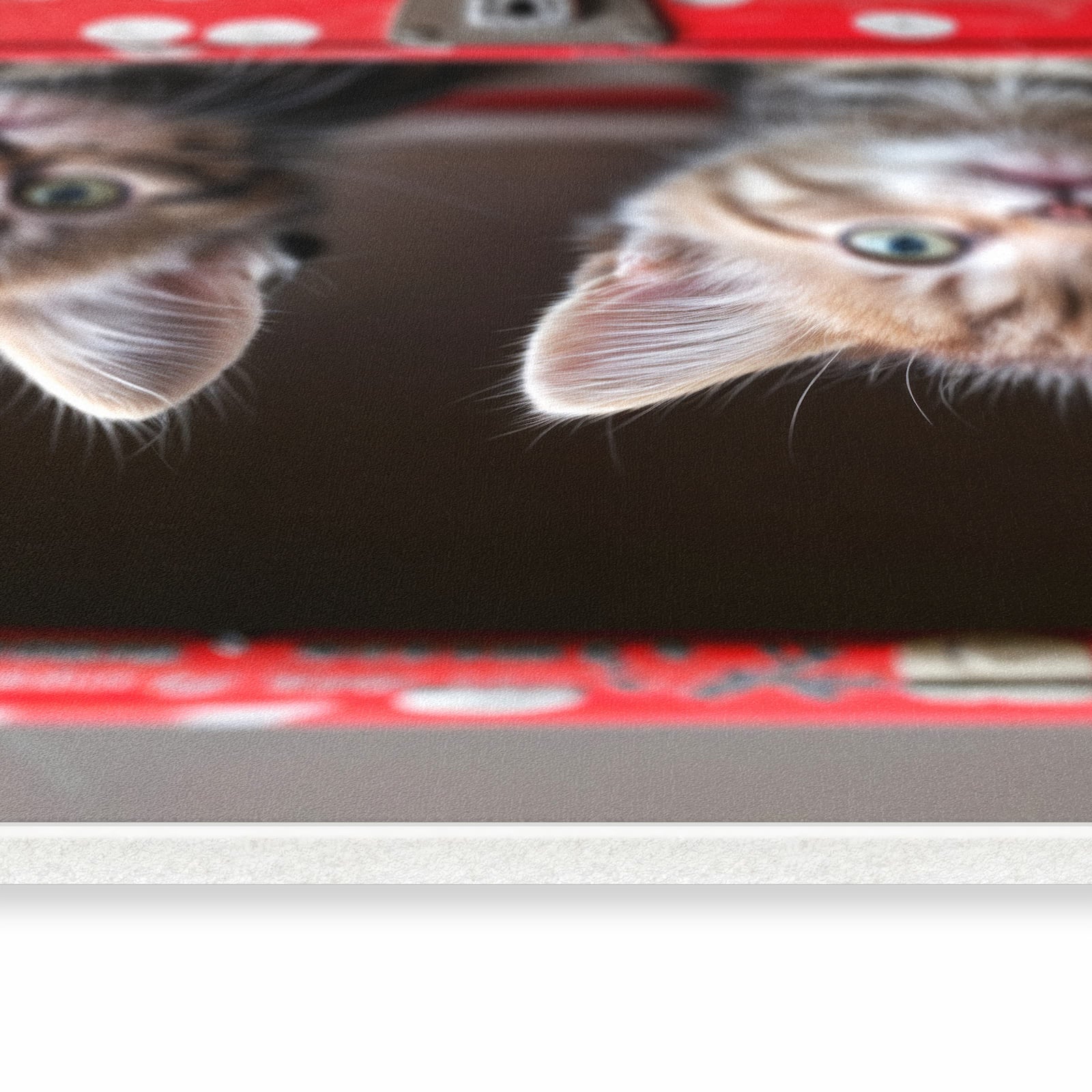 Küchenläufer mit Motiv Katzen im Koffer in seitlicher Ansicht für angenehme Haptik