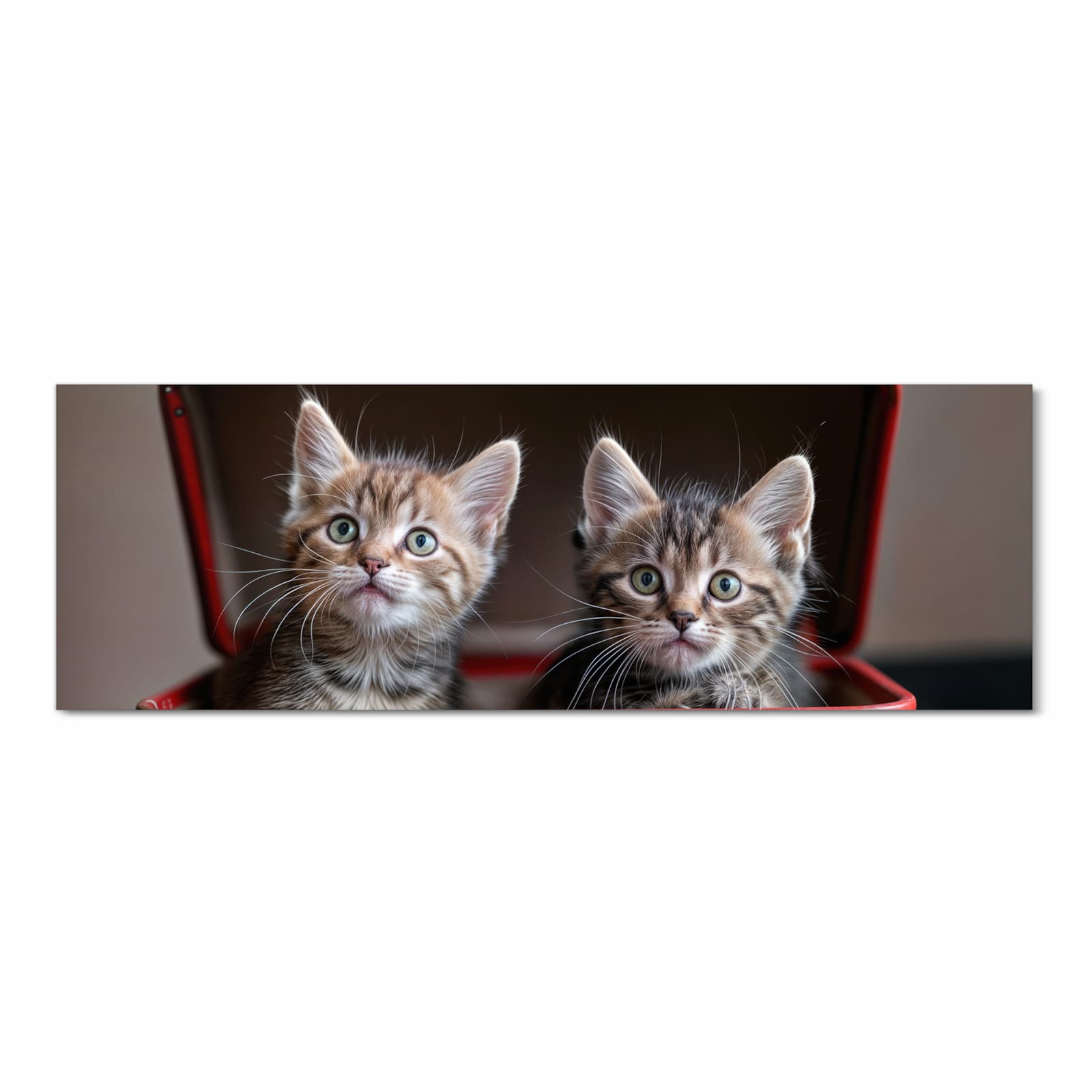 Langlebiger Küchenläufer mit Motiv Katzen im Koffer in Frontansicht, abwaschbar