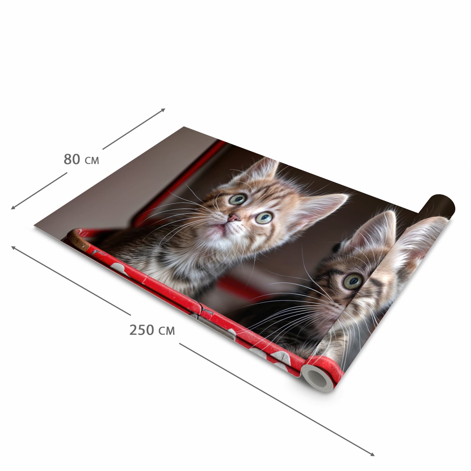 Farbbeständiger Küchenteppich mit Motiv Katzen im Koffer in der Grösse 80x250 cm