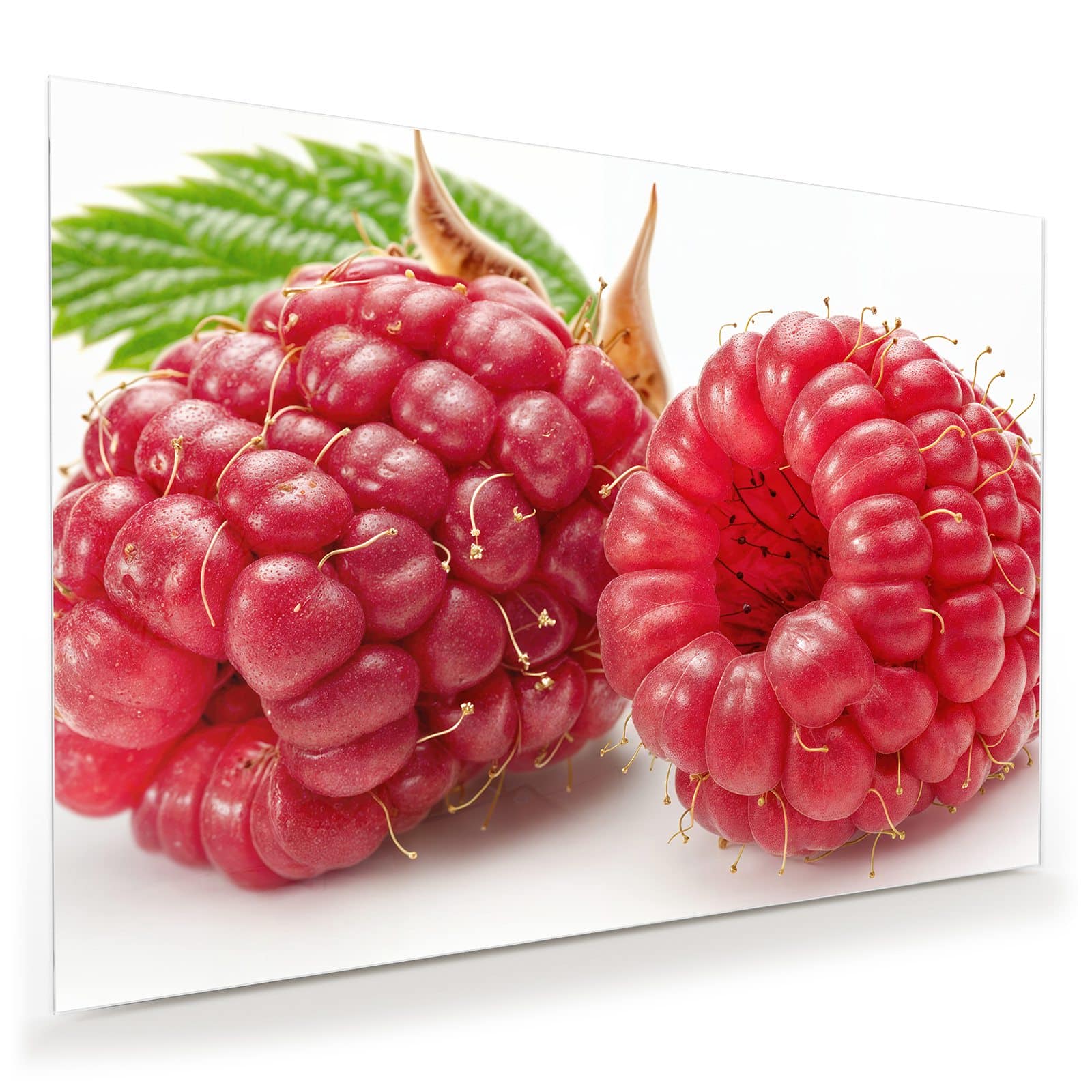 #grösse_100 x 70 cm