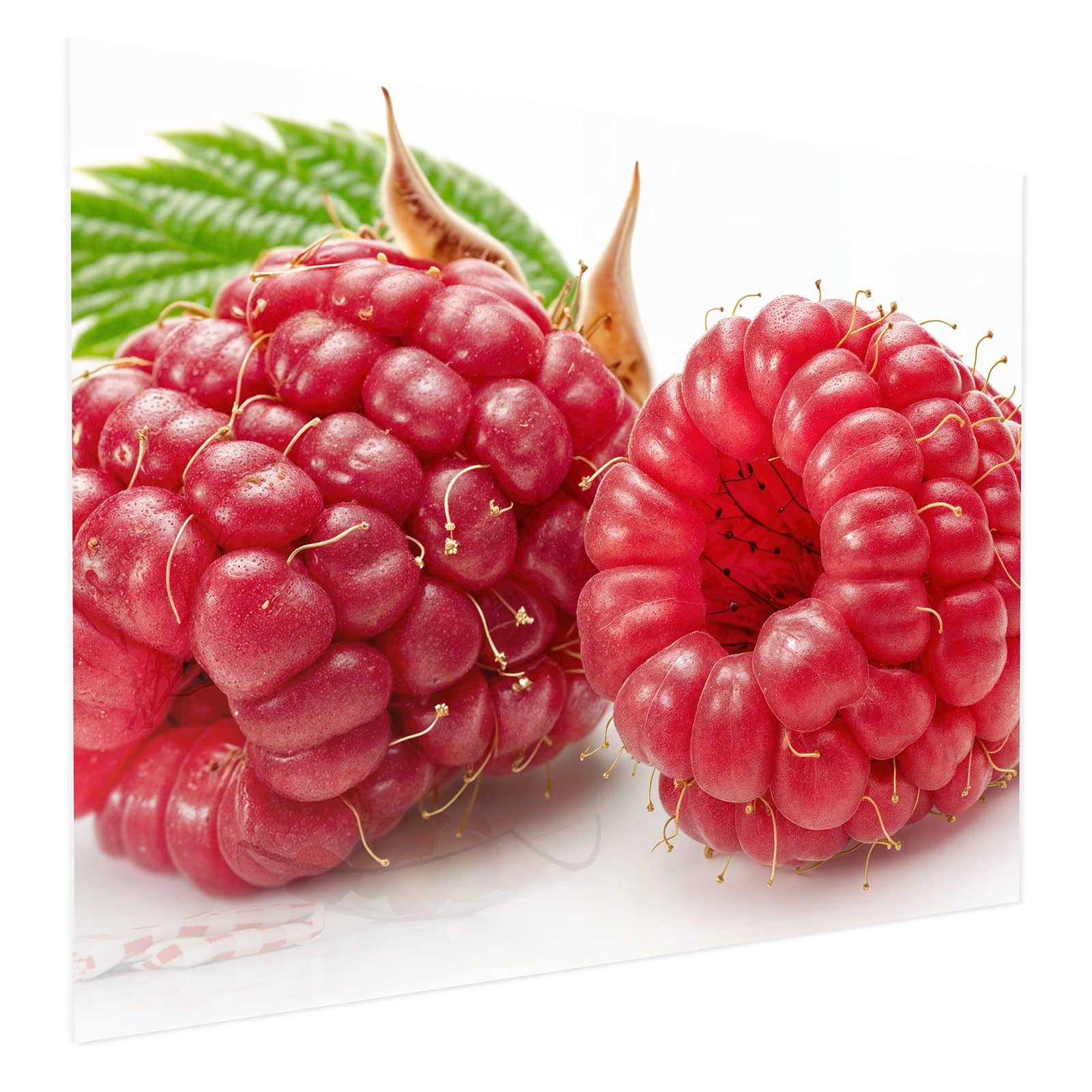 #grösse_75 x 60 cm #grösse_100 x 80 cm