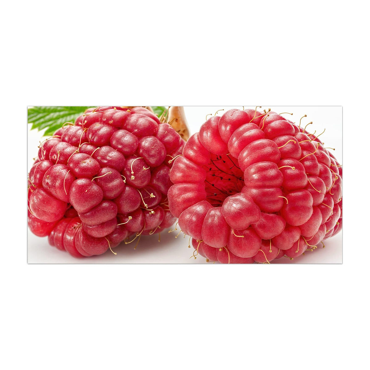Küchenrückwand aus Glas Surreale Himbeeren im Hochformat, Motiv bildfüllend von vorn