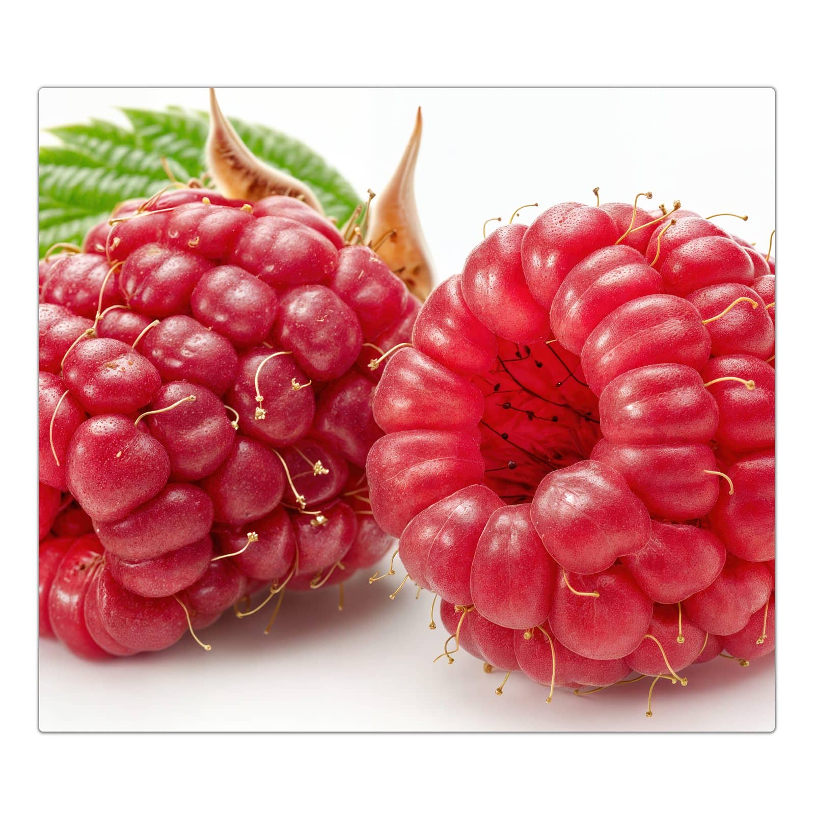 1-teilige Ceranfeldabdeckung mit Himbeerenblatt-Motiv in der Frontansicht #grösse_1-Teilig (60x52cm)