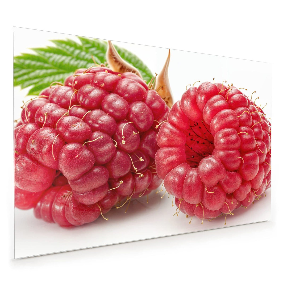 Küchenrückwand aus Glas im Hochformat mit Motiv Surreale Himbeeren: Zwei überdimensionale, glasig rote Himbeeren mit langen Griffeln