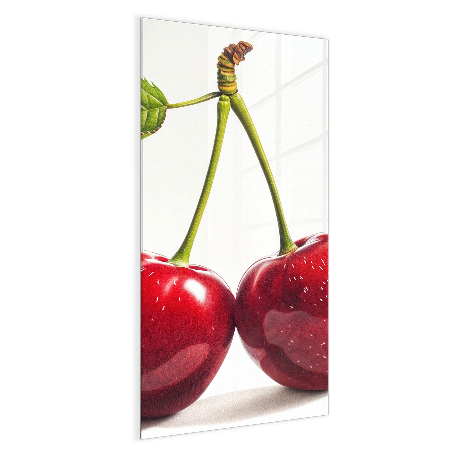 #grösse_50 x 100 cm