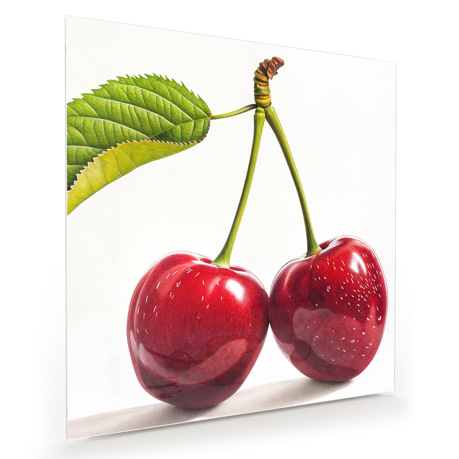 #grösse_30 x 30 cm #grösse_40 x 40 cm #grösse_50 x 50 cm #grösse_60 x 60 cm #grösse_70 x 70 cm #grösse_80 x 80 cm #grösse_90 x 90 cm #grösse_100 x 100 cm
