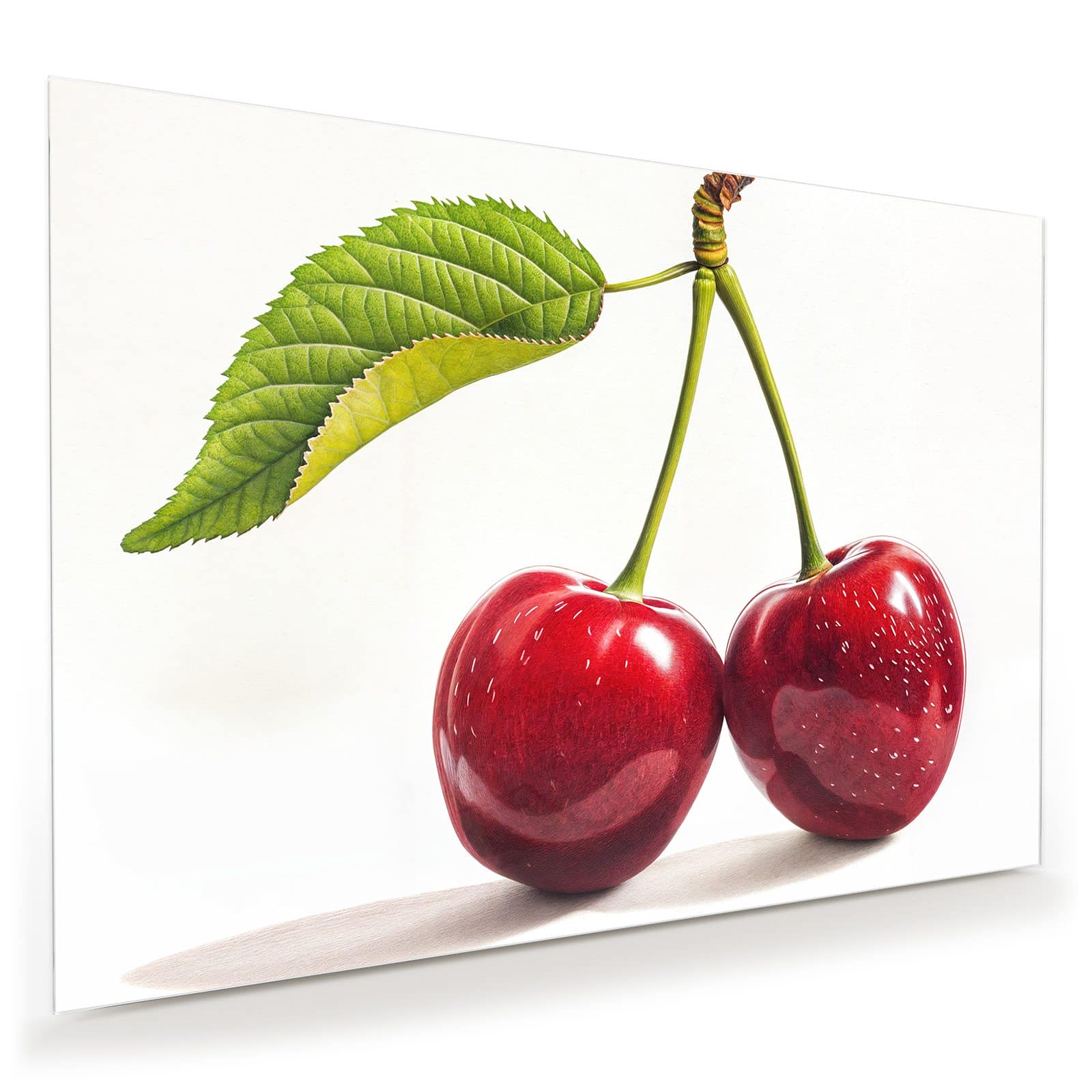 #grösse_100 x 70 cm