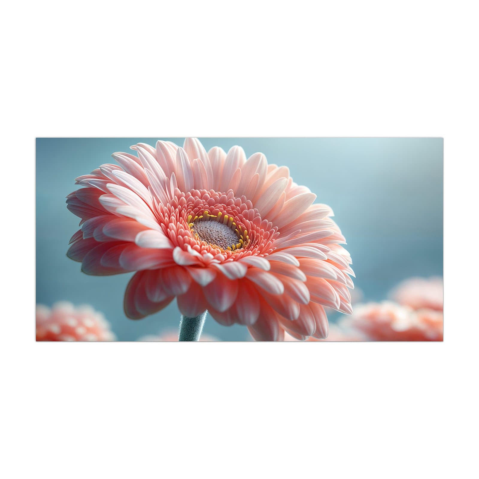 #grösse_40 x 80 cm #grösse_50 x 100 cm #grösse_55 x 110 cm #grösse_60 x 120 cm