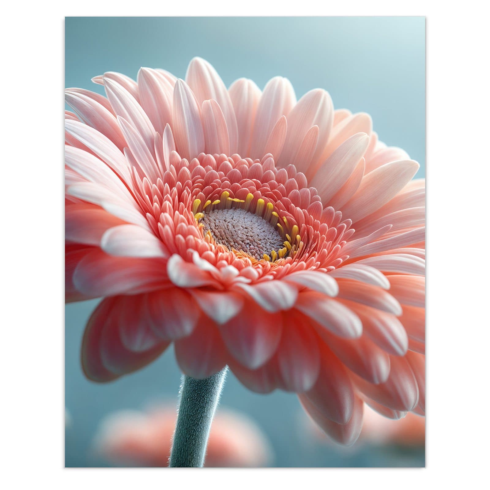 #grösse_60 x 75 cm #grösse_80 x 100 cm